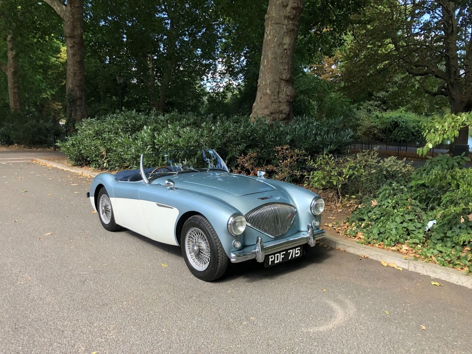 1955 - AUSTIN-HEALEY 100/4 BN1 BLUE, foto 22