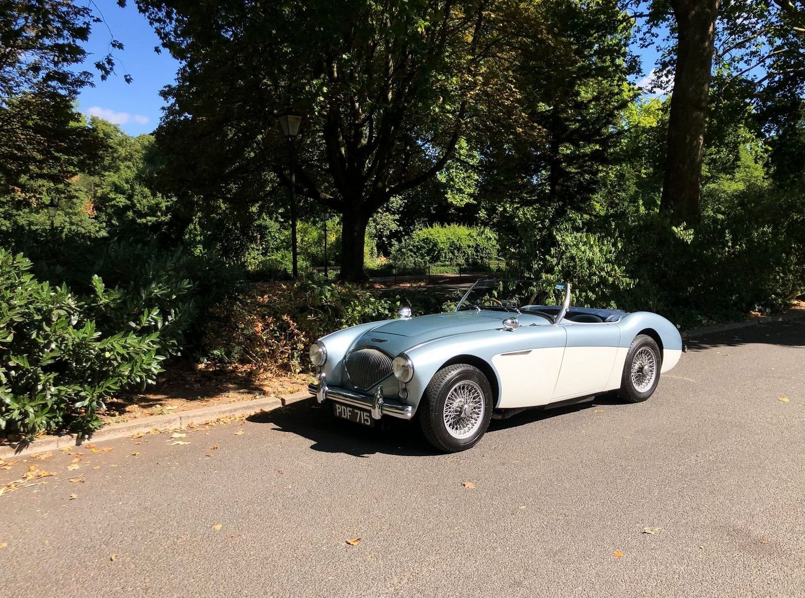 1955 - AUSTIN-HEALEY 100/4 BN1 BLUE, foto 23