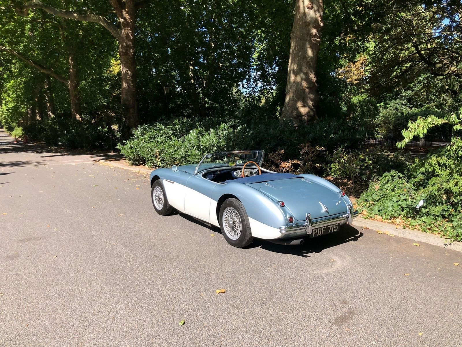 1955 - AUSTIN-HEALEY 100/4 BN1 BLUE, foto 28