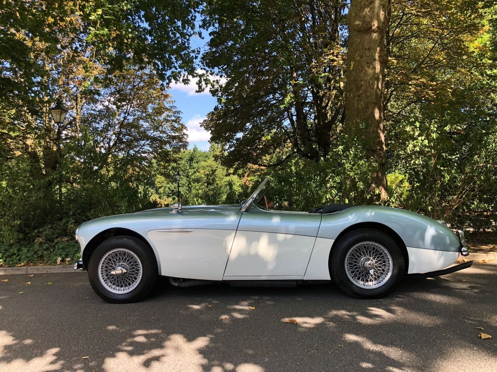 1955 - AUSTIN-HEALEY 100/4 BN1 BLUE, foto 31