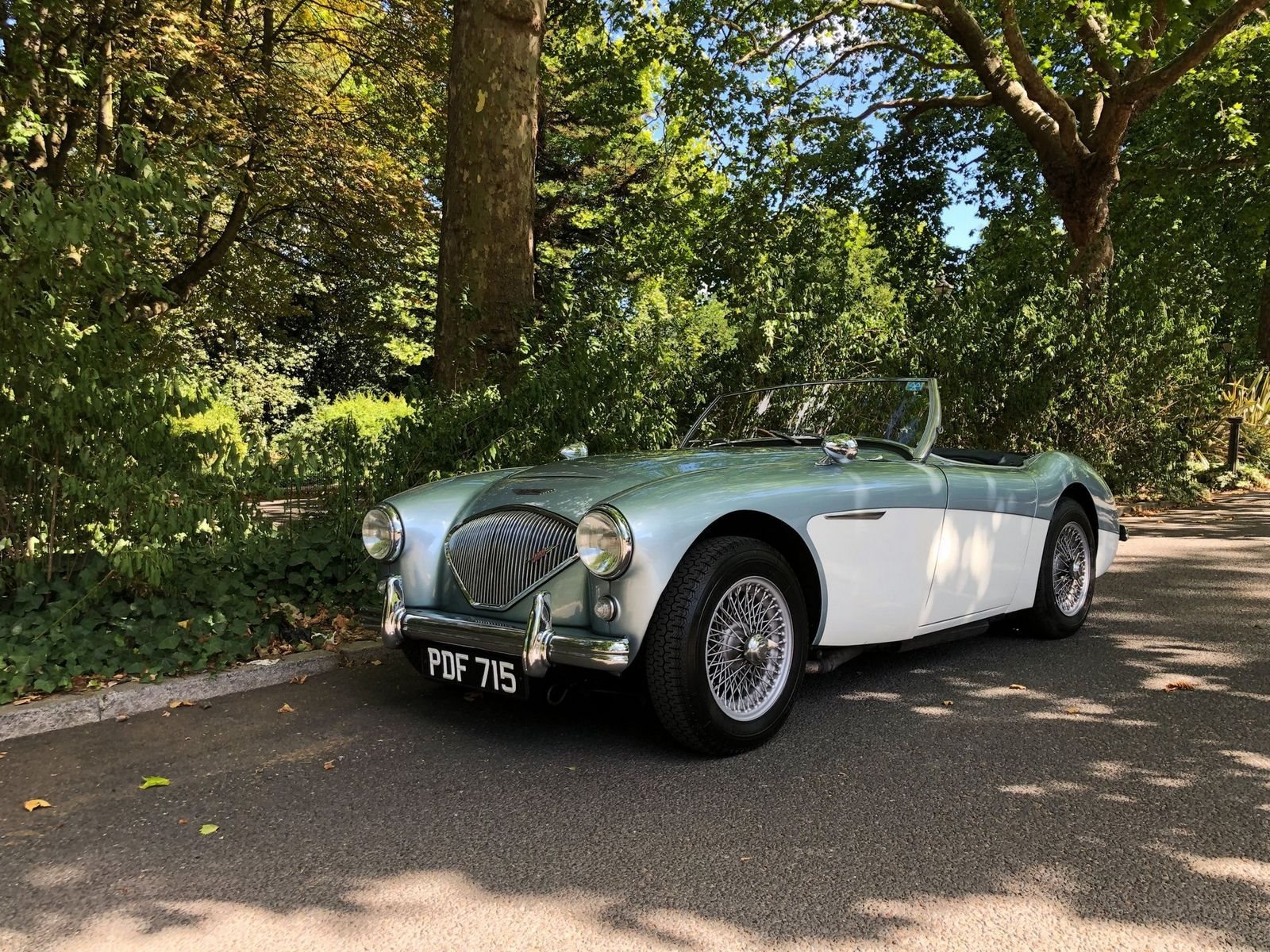 1955 - AUSTIN-HEALEY 100/4 BN1 BLUE, foto 35