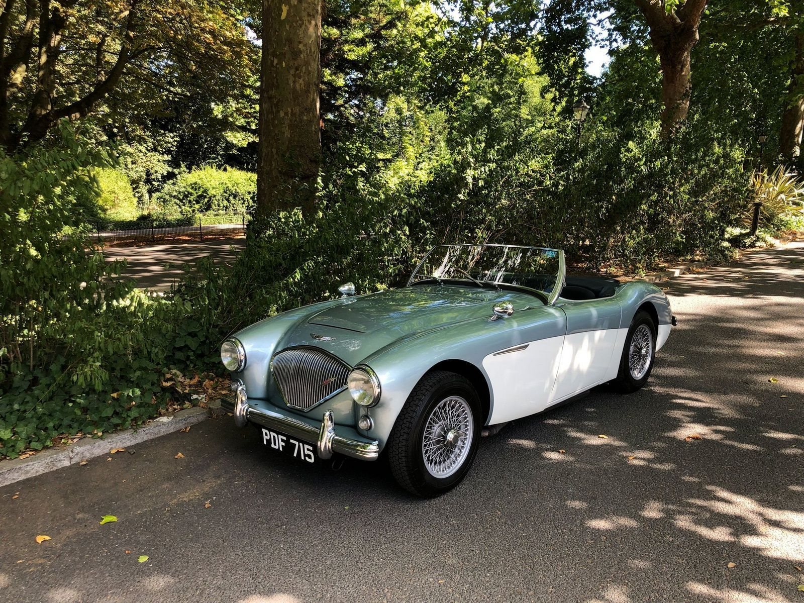 1955 - AUSTIN-HEALEY 100/4 BN1 BLUE, foto 36