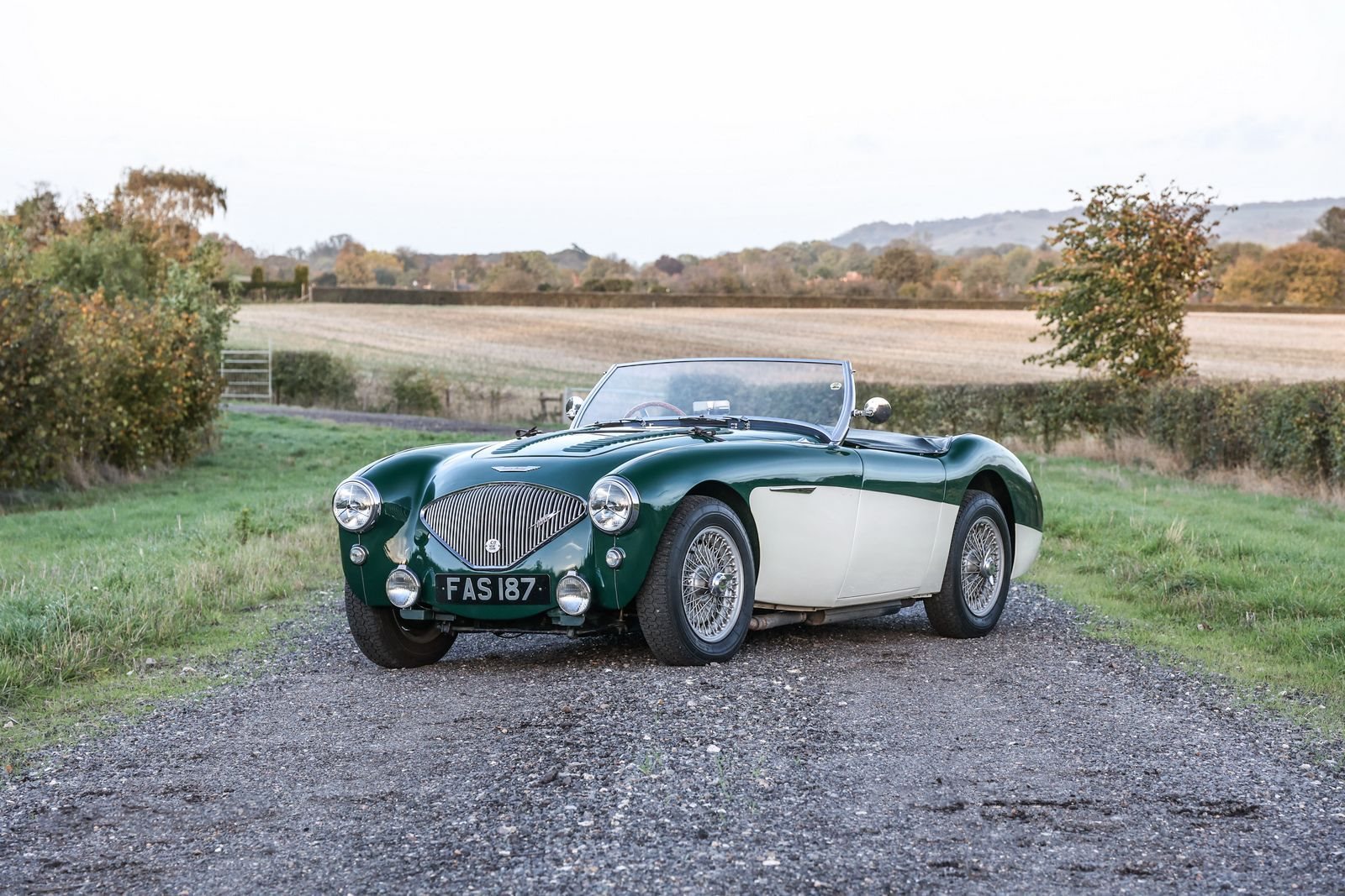1956 - AUSTIN-HEALEY 100/4 BRITISH RACING GREEN, foto 1