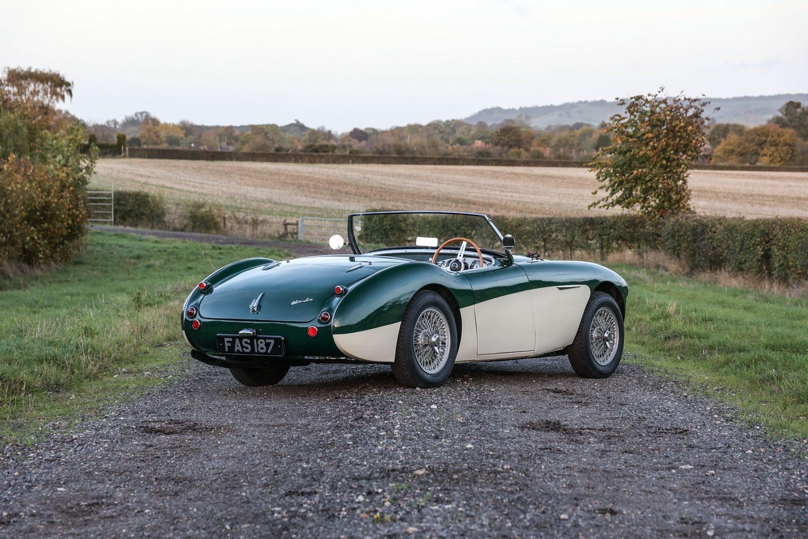 1956 - AUSTIN-HEALEY 100/4 BRITISH RACING GREEN, foto 2