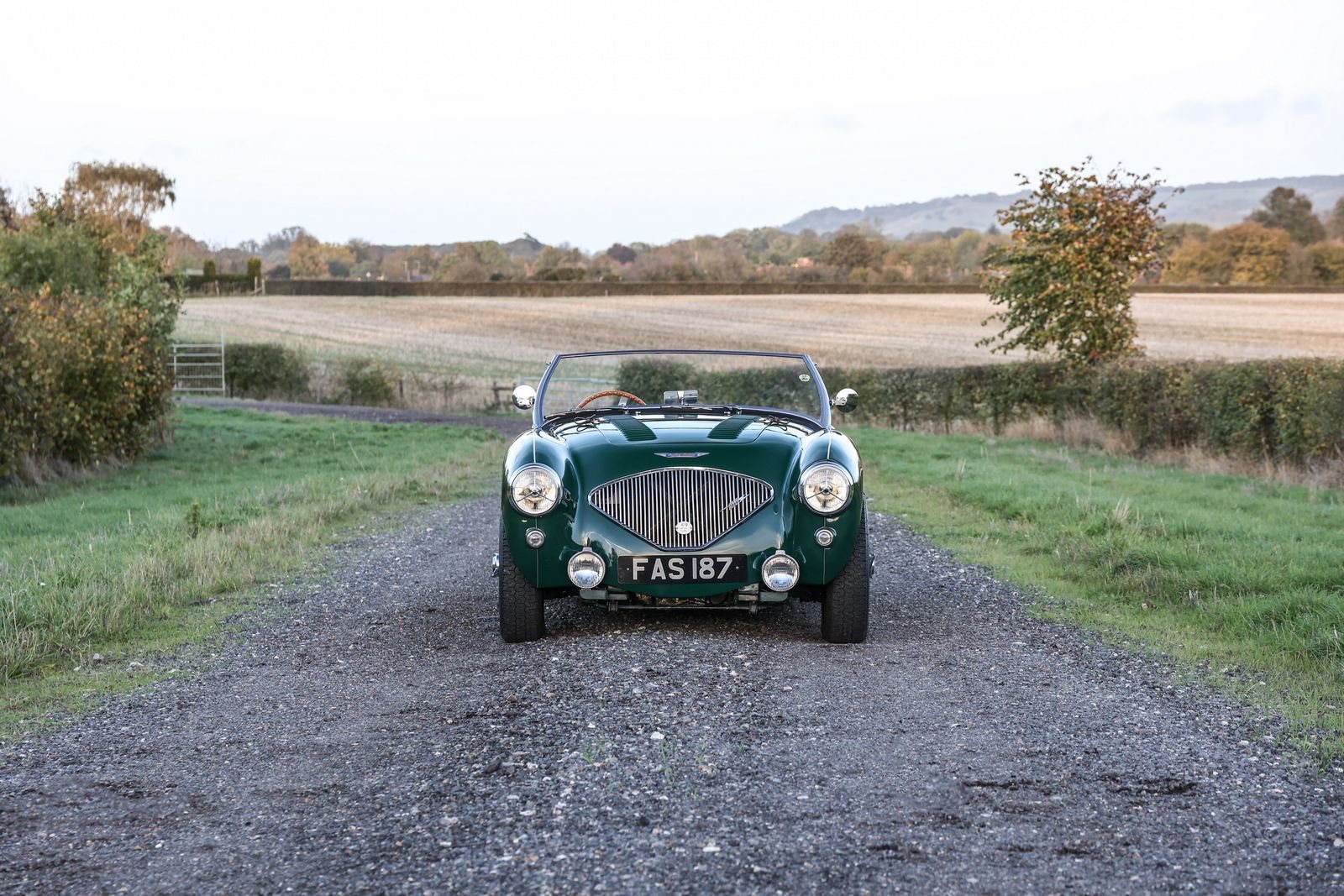 1956 - AUSTIN-HEALEY 100/4 BRITISH RACING GREEN, foto 3