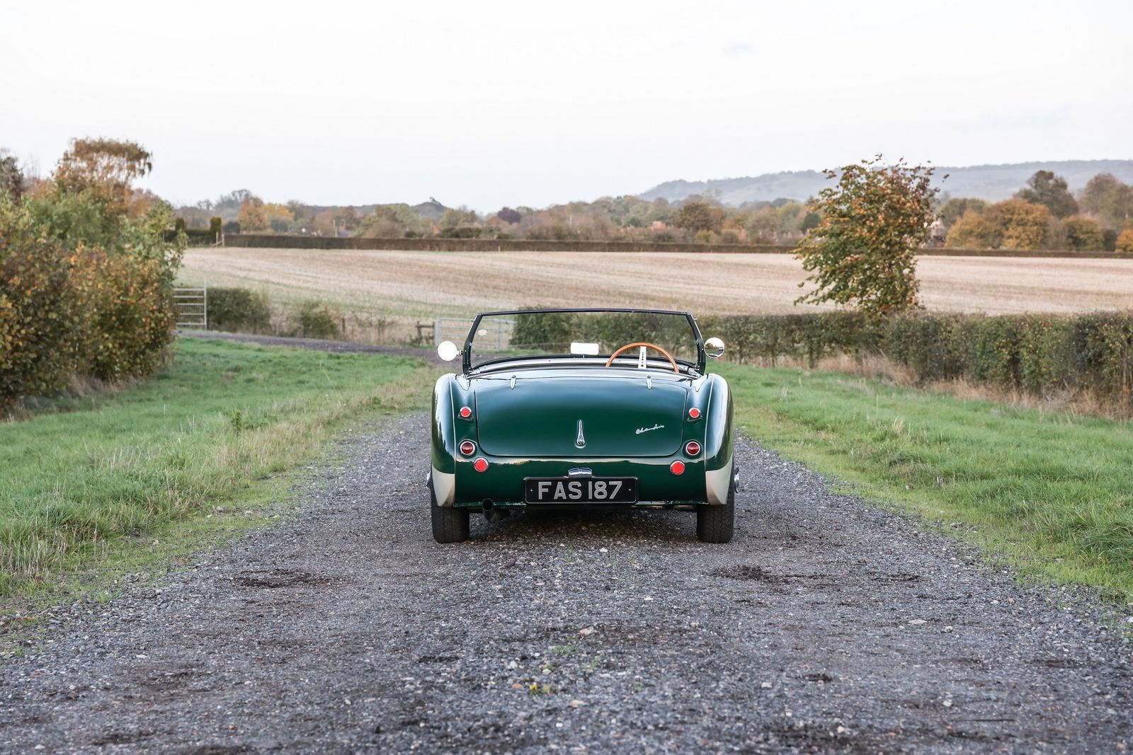 1956 - AUSTIN-HEALEY 100/4 BRITISH RACING GREEN, foto 4