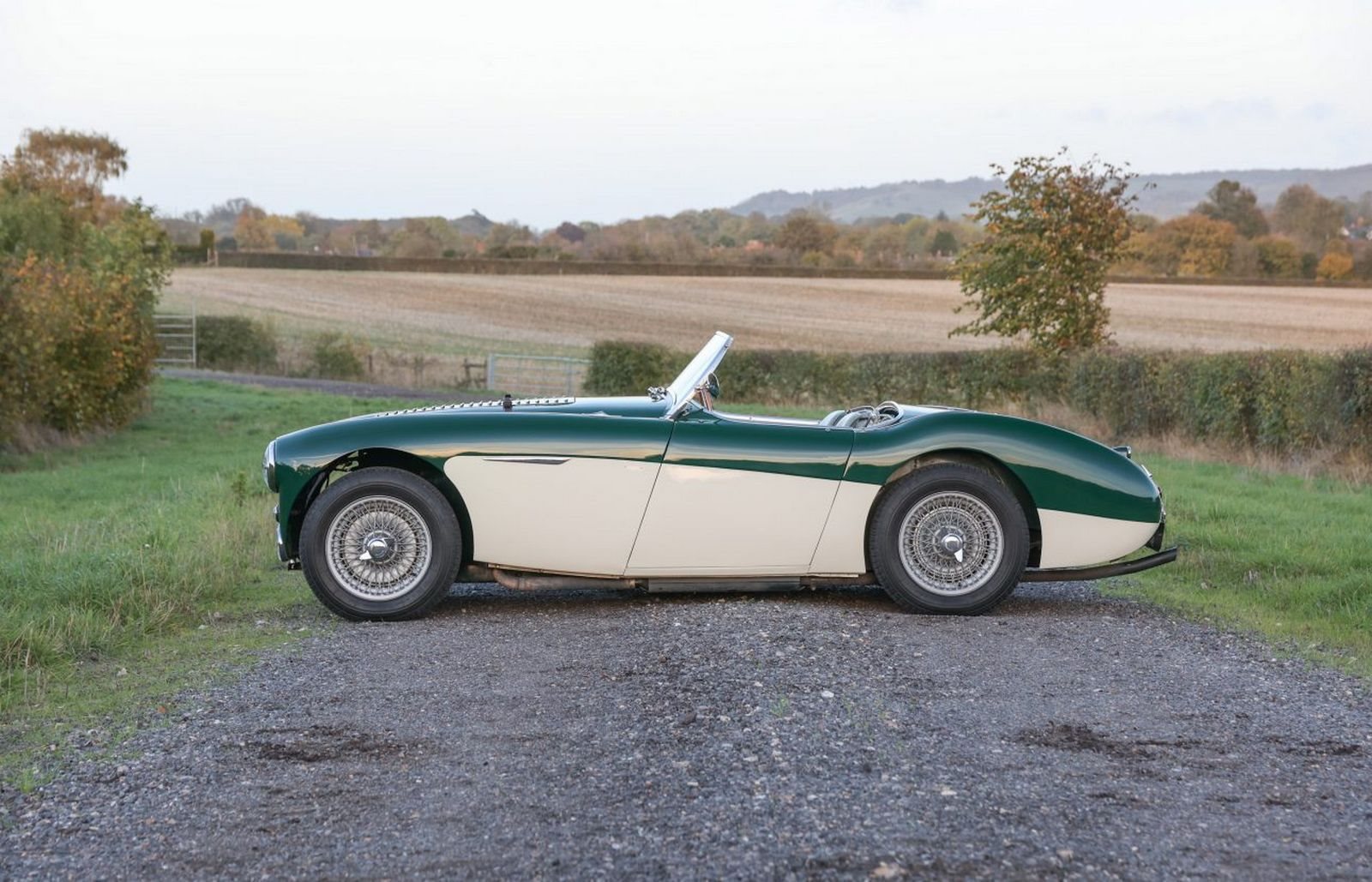 1956 - AUSTIN-HEALEY 100/4 BRITISH RACING GREEN, foto 5