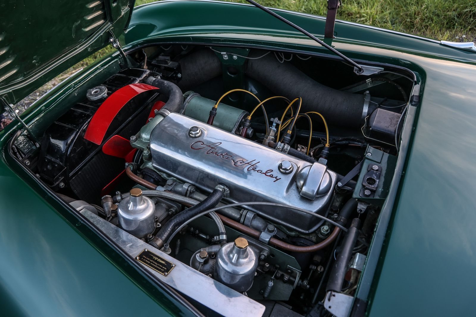 1956 - AUSTIN-HEALEY 100/4 BRITISH RACING GREEN, foto 14