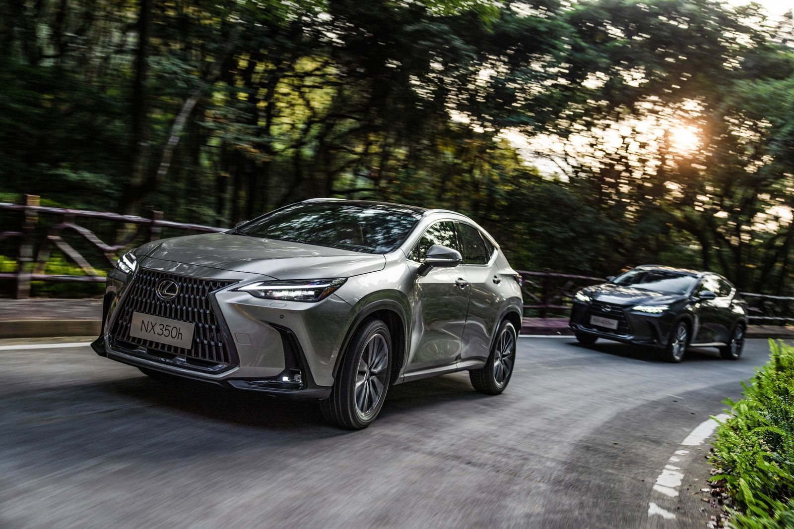LEXUS NX 350h, foto 1