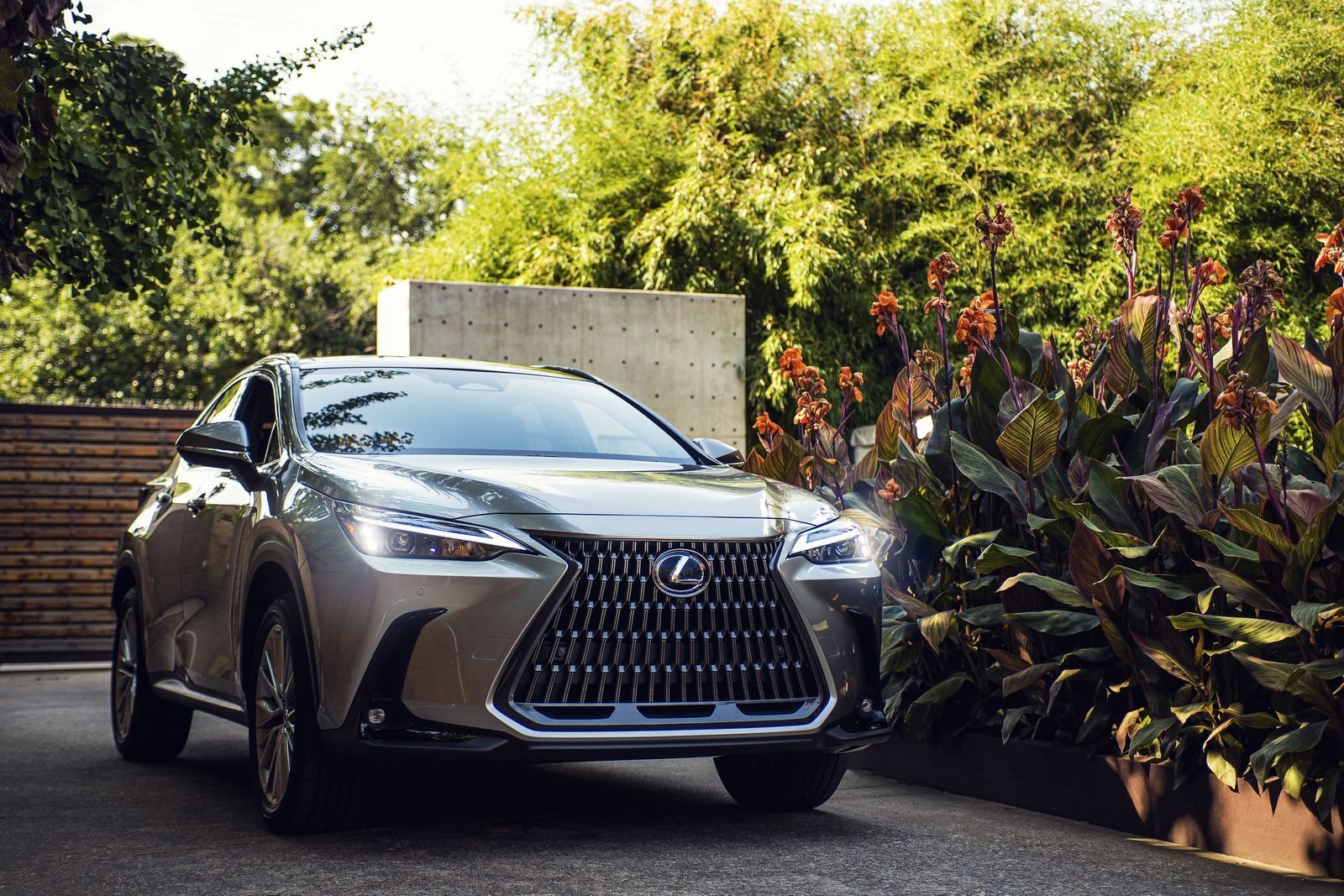 LEXUS NX 350h, foto 2