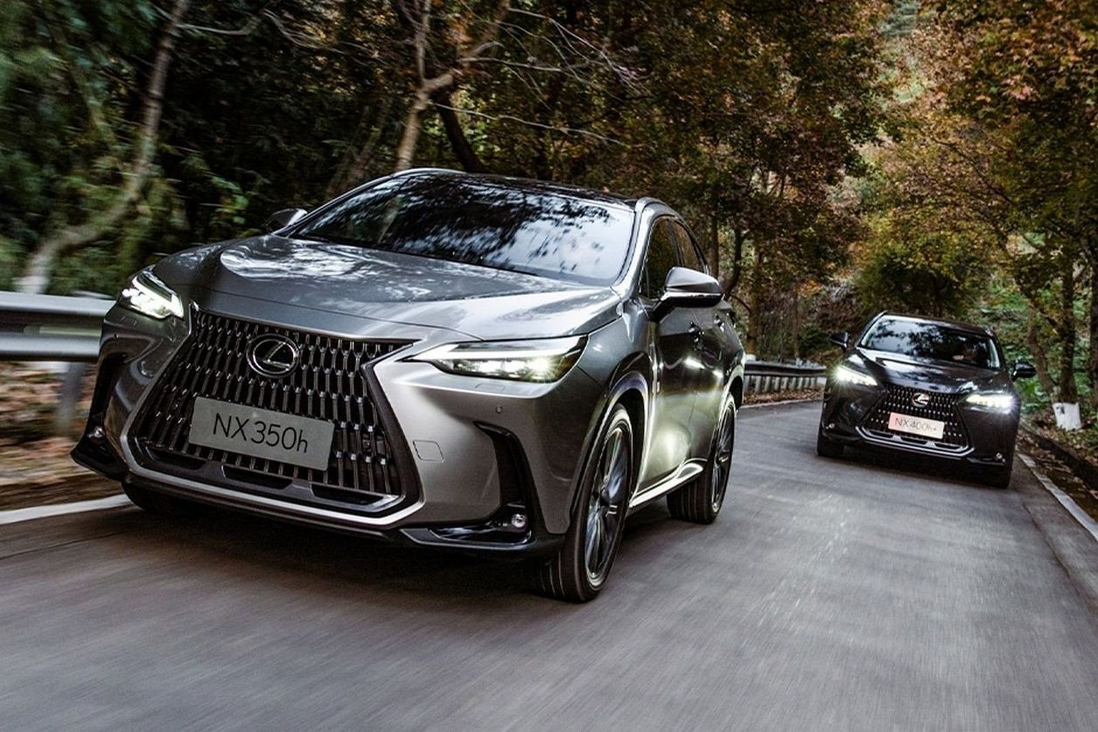 LEXUS NX 350h, foto 3