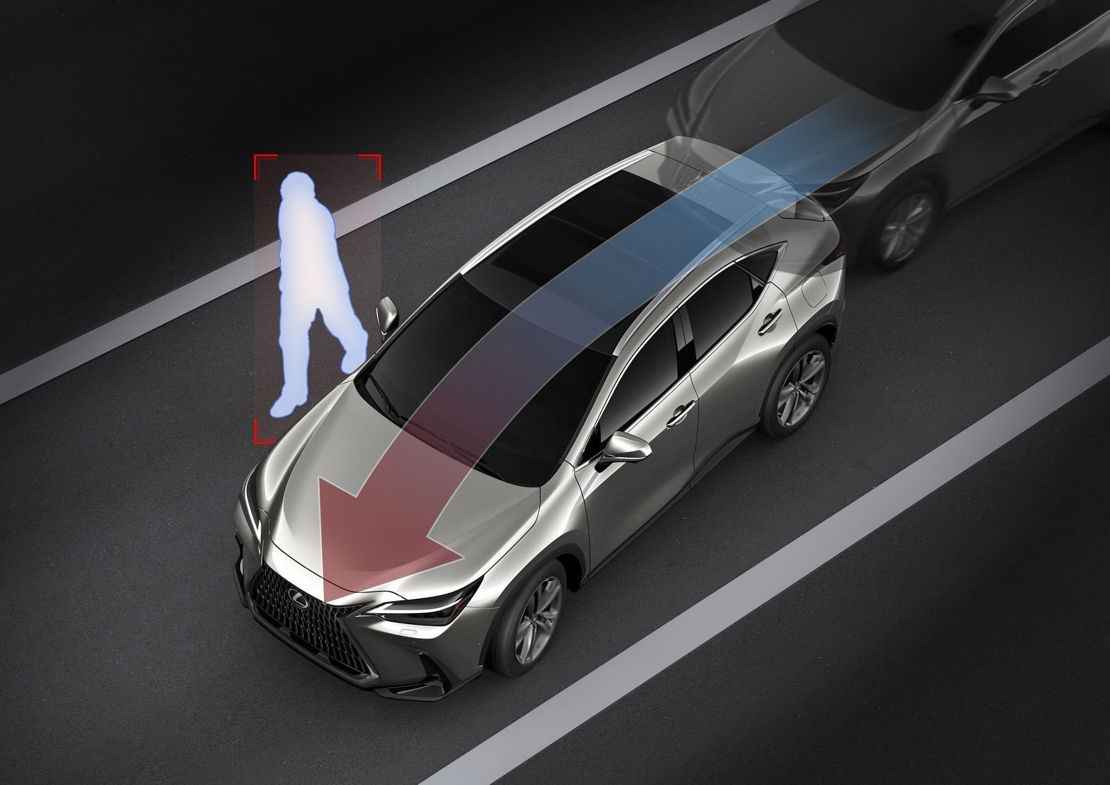 LEXUS NX 350h, foto 53