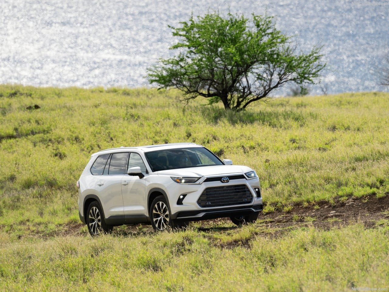2024 - TOYOTA GRAND HIGHLANDER, foto 10