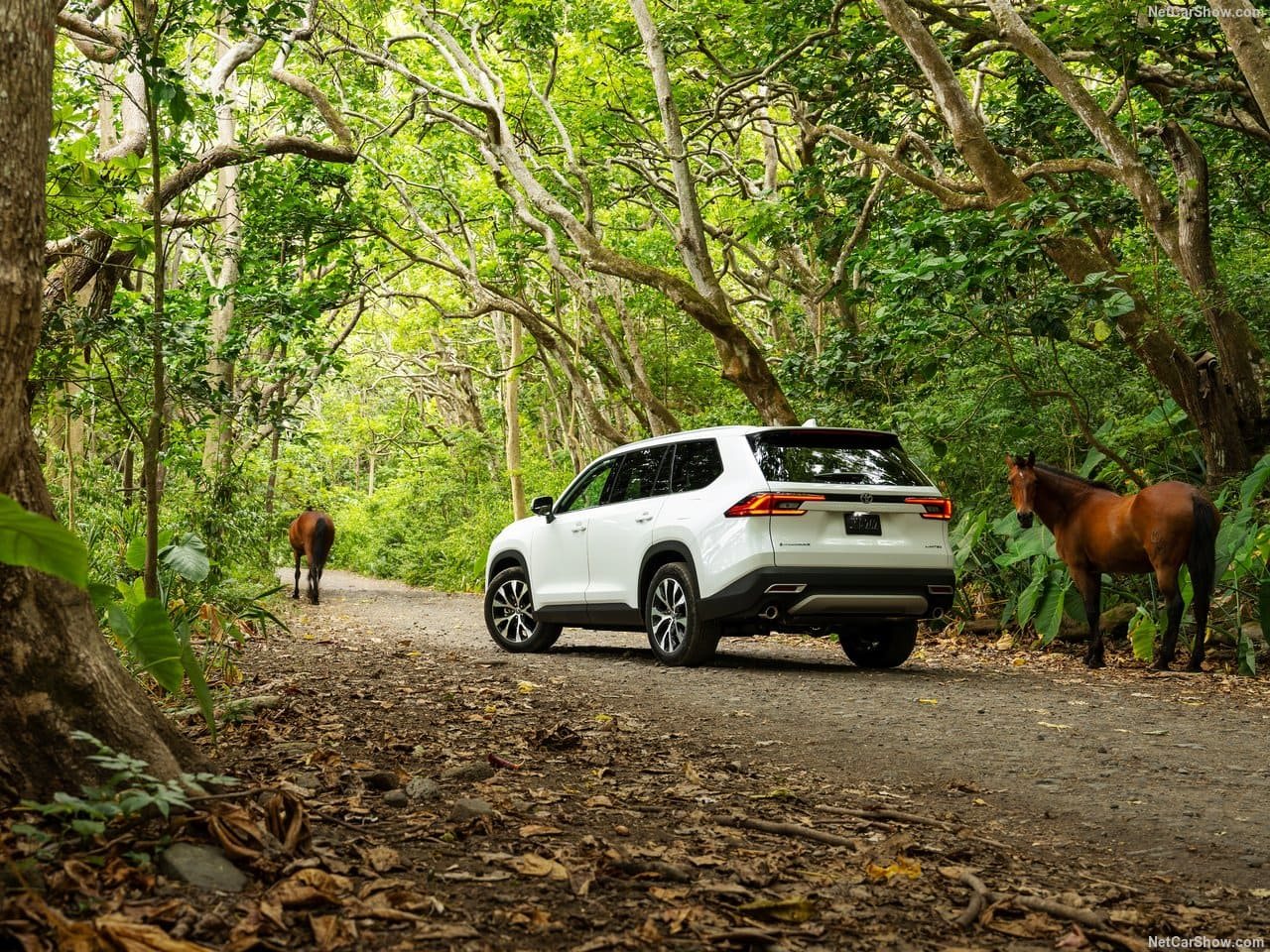 2024 - TOYOTA GRAND HIGHLANDER, foto 78