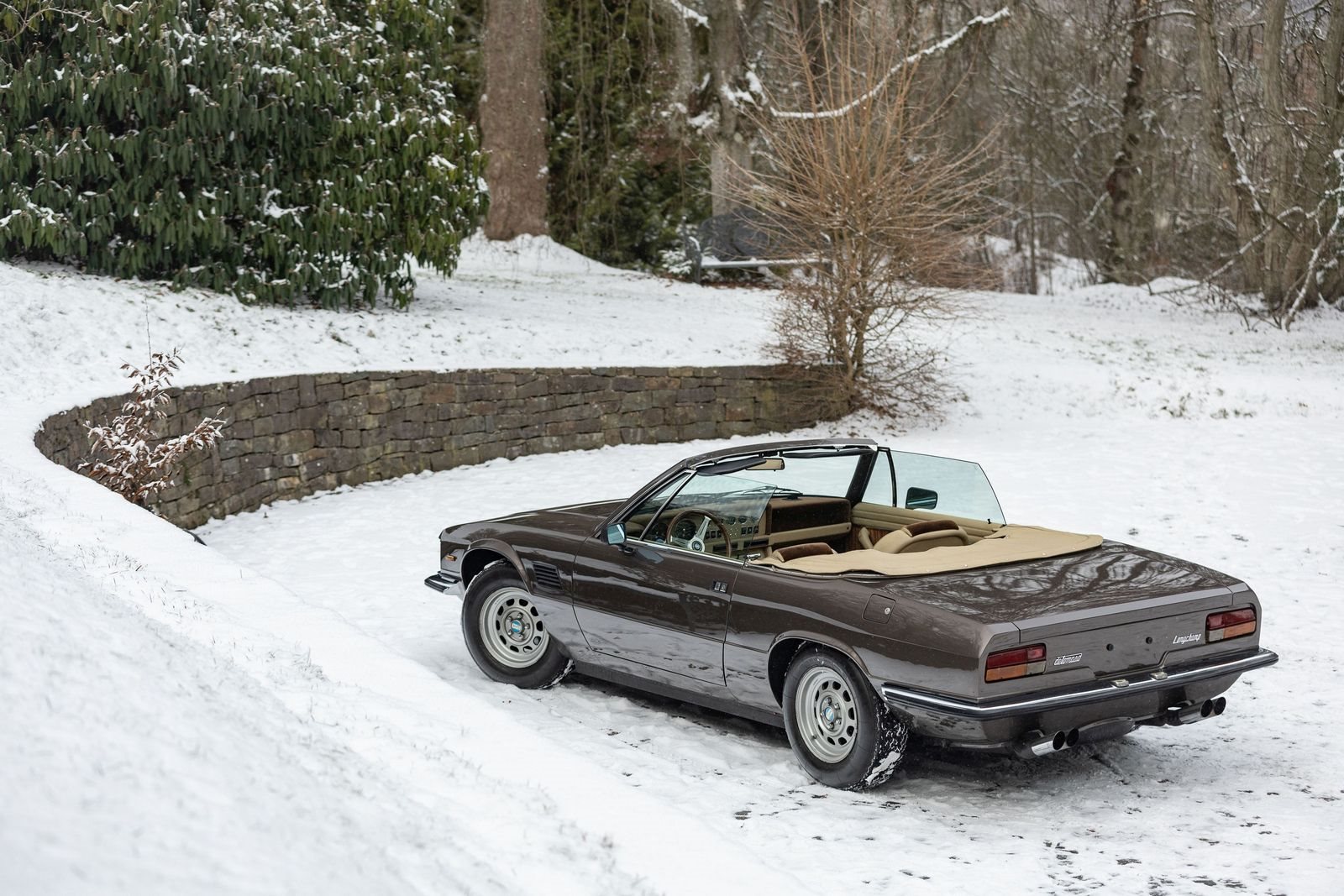 DE TOMASO LONGCHAMP CABRIOLET, foto 13