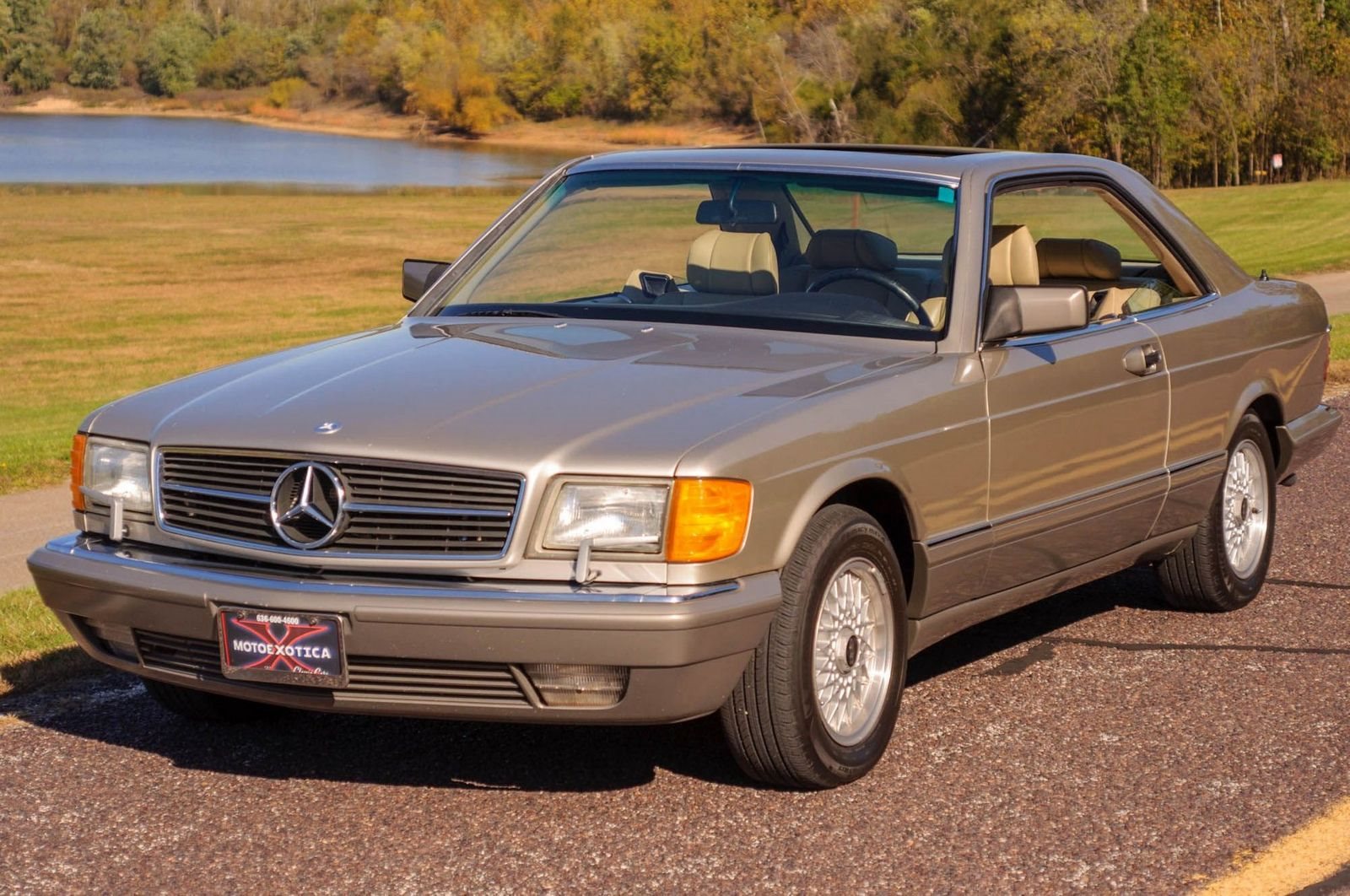 1991 - MERCEDES-BENZ 560 SEC BROWN, foto 1