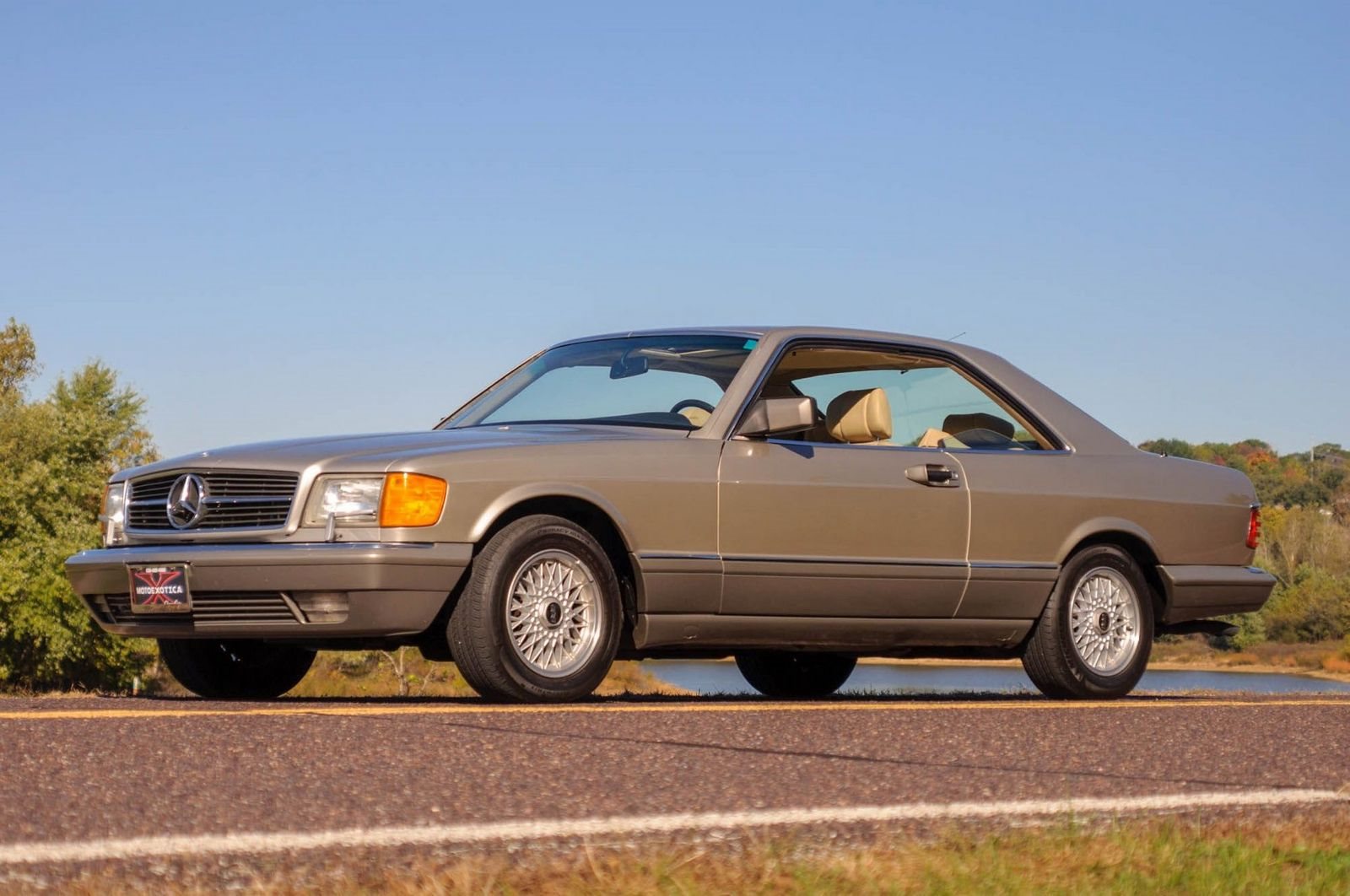 1991 - MERCEDES-BENZ 560 SEC BROWN, foto 2