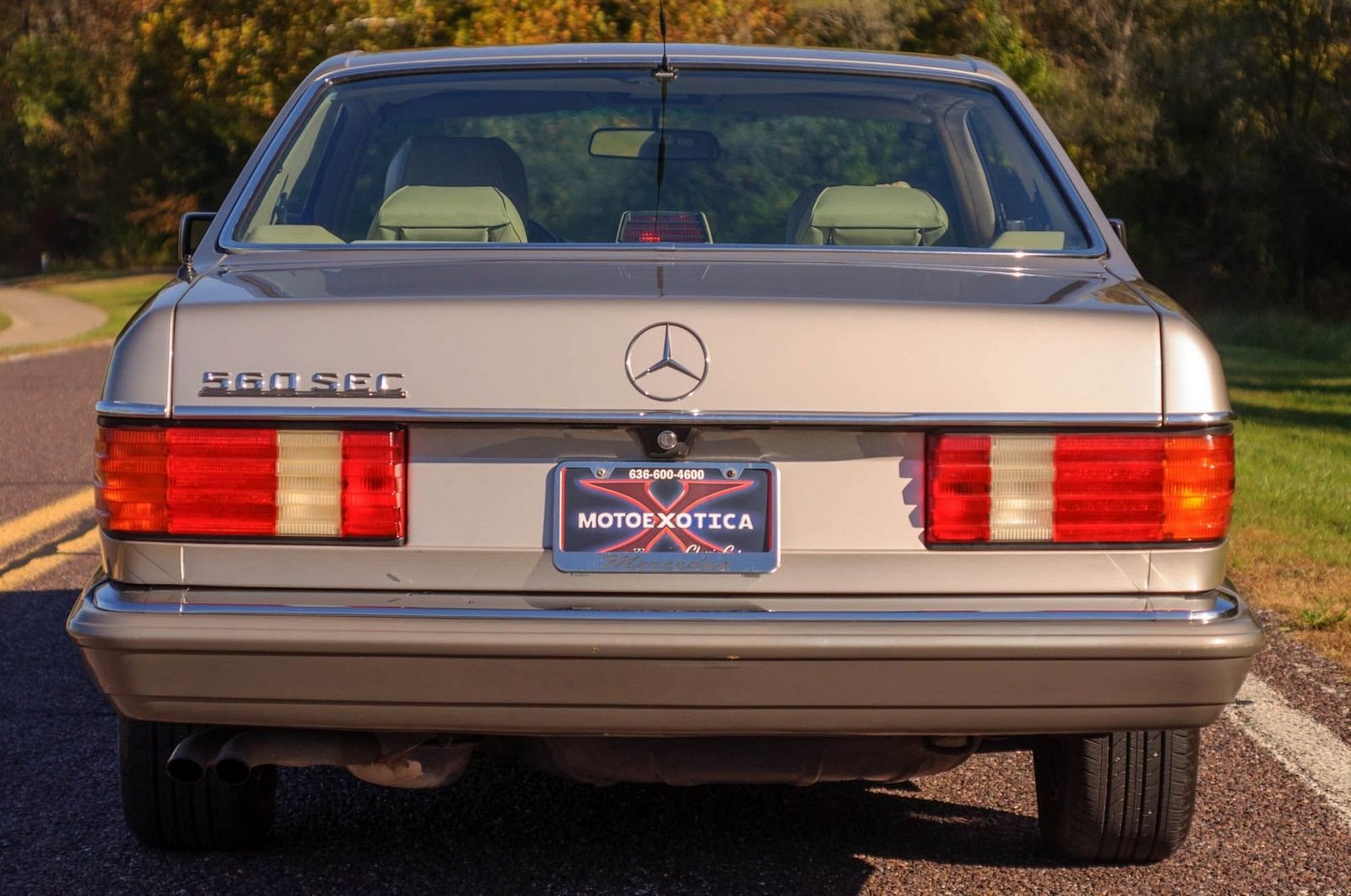 1991 - MERCEDES-BENZ 560 SEC BROWN, foto 6