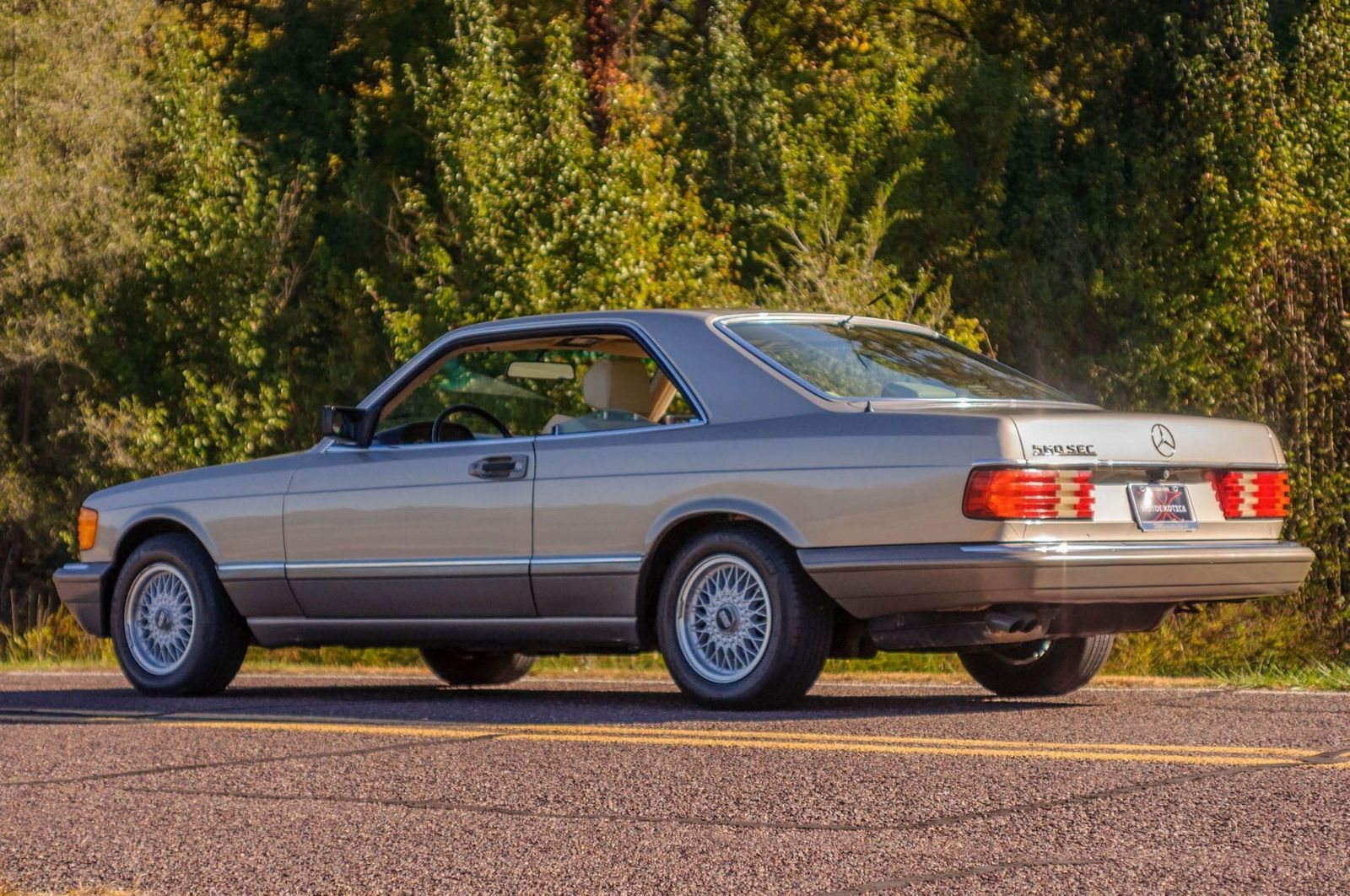 1991 - MERCEDES-BENZ 560 SEC BROWN, foto 8