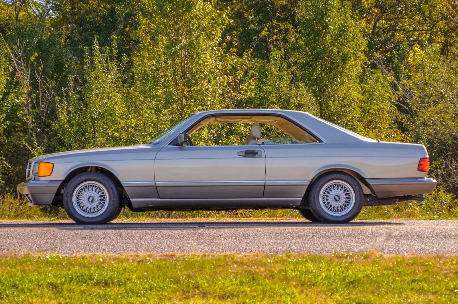 1991 - MERCEDES-BENZ 560 SEC BROWN, foto 9