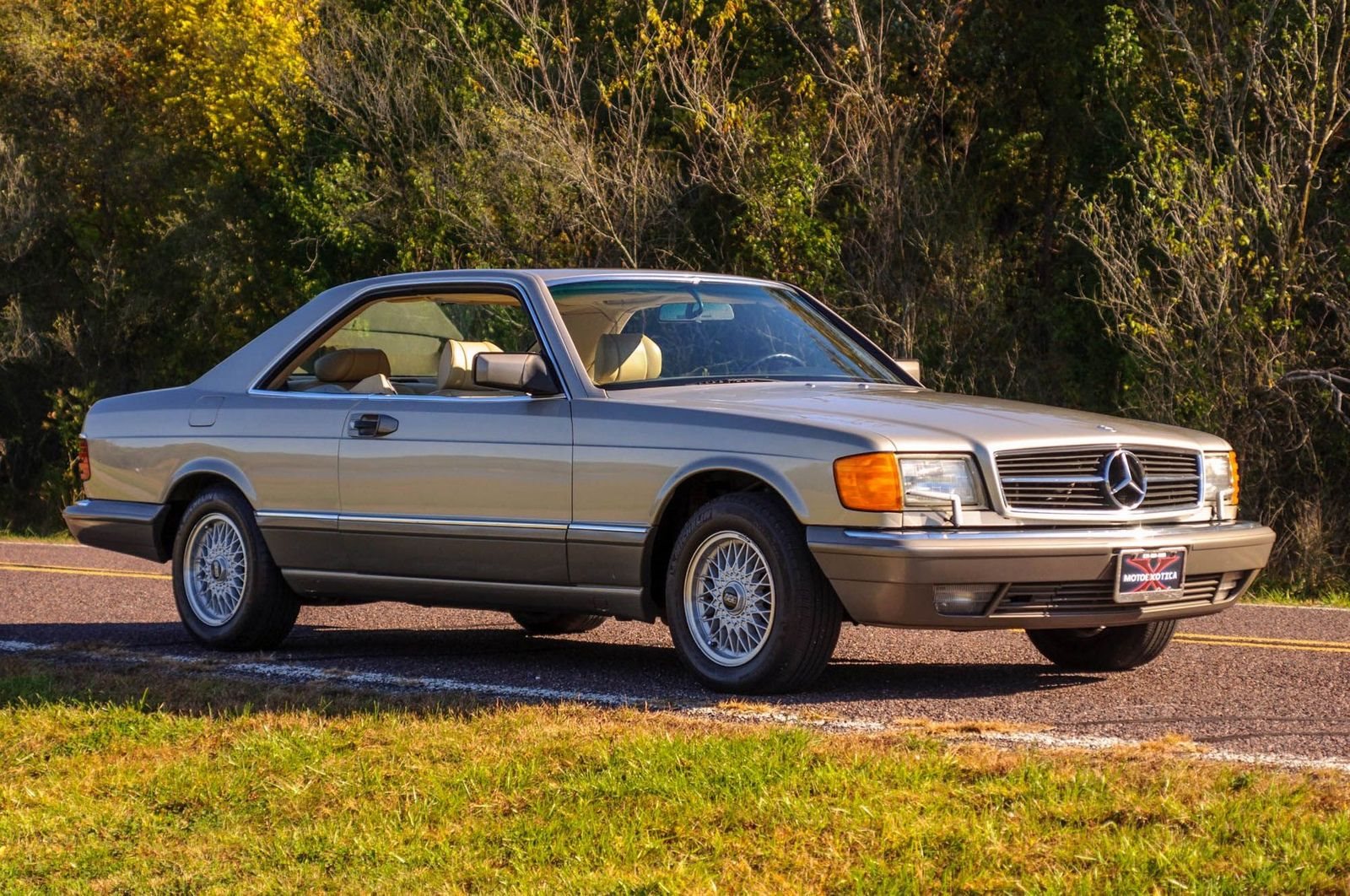 1991 - MERCEDES-BENZ 560 SEC BROWN, foto 10