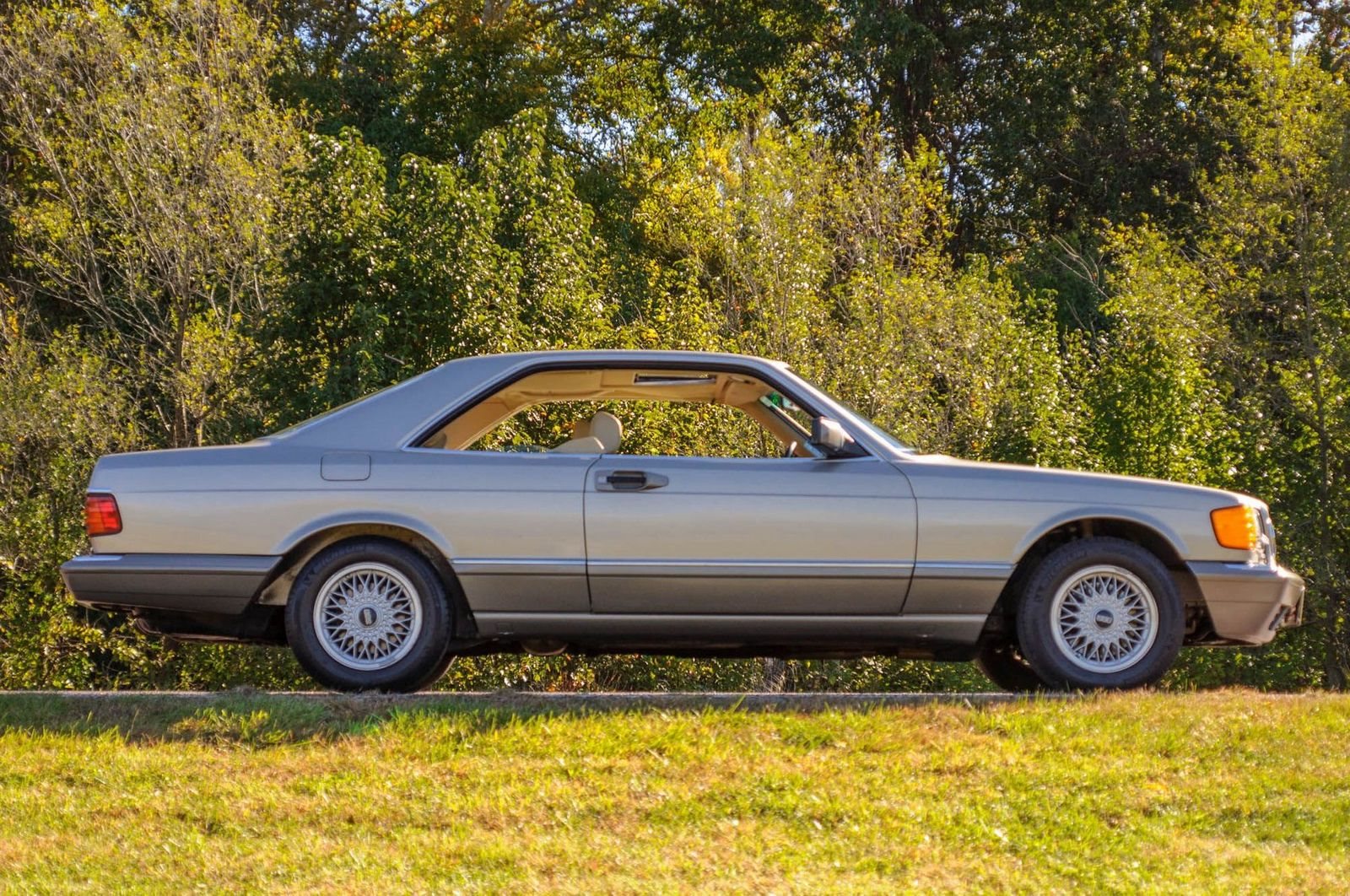 1991 - MERCEDES-BENZ 560 SEC BROWN, foto 12