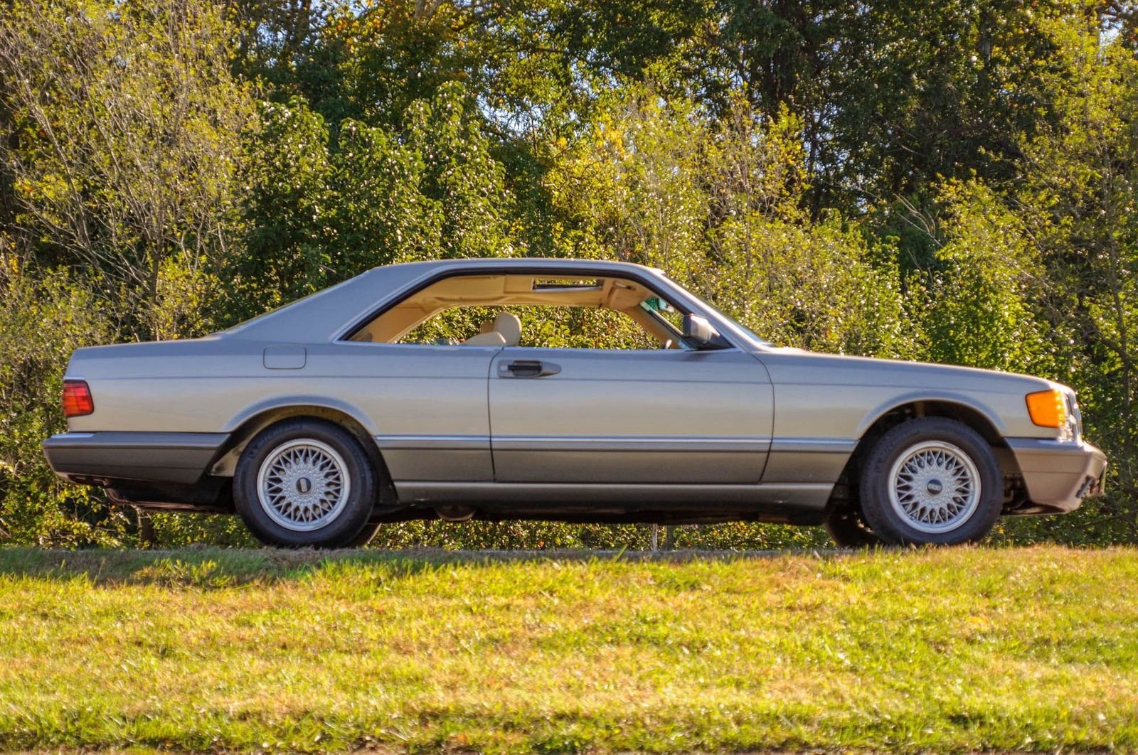 1991 - MERCEDES-BENZ 560 SEC BROWN, foto 13