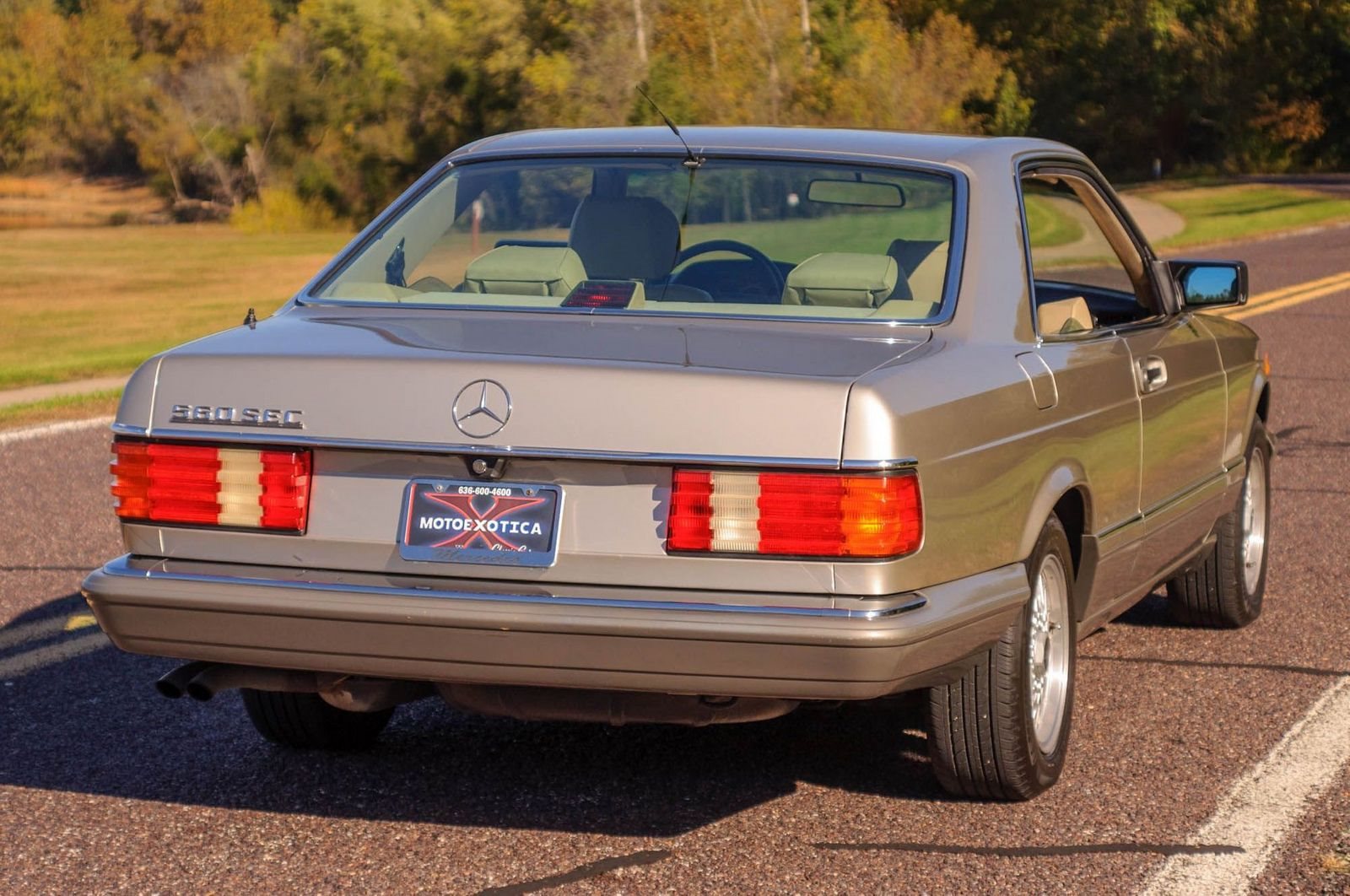 1991 - MERCEDES-BENZ 560 SEC BROWN, foto 15
