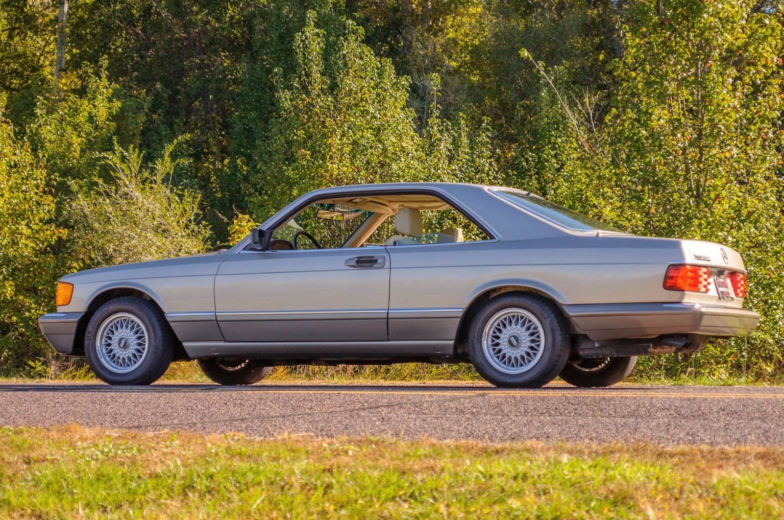 1991 - MERCEDES-BENZ 560 SEC BROWN, foto 20