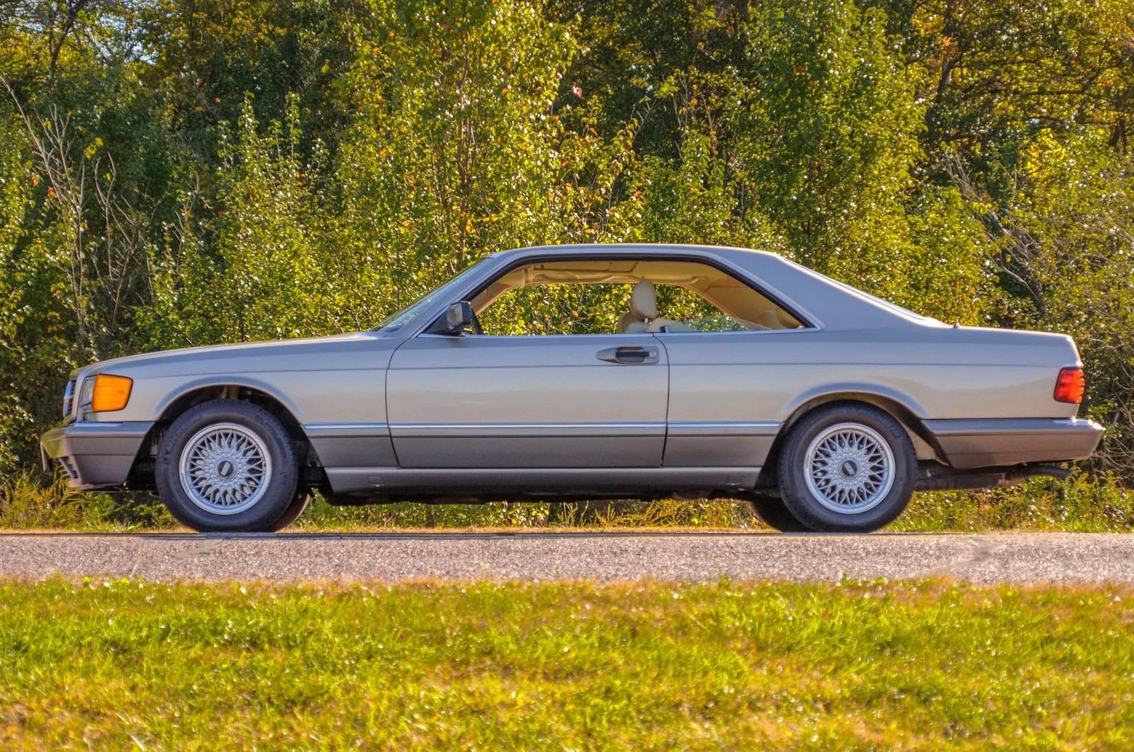 1991 - MERCEDES-BENZ 560 SEC BROWN, foto 21