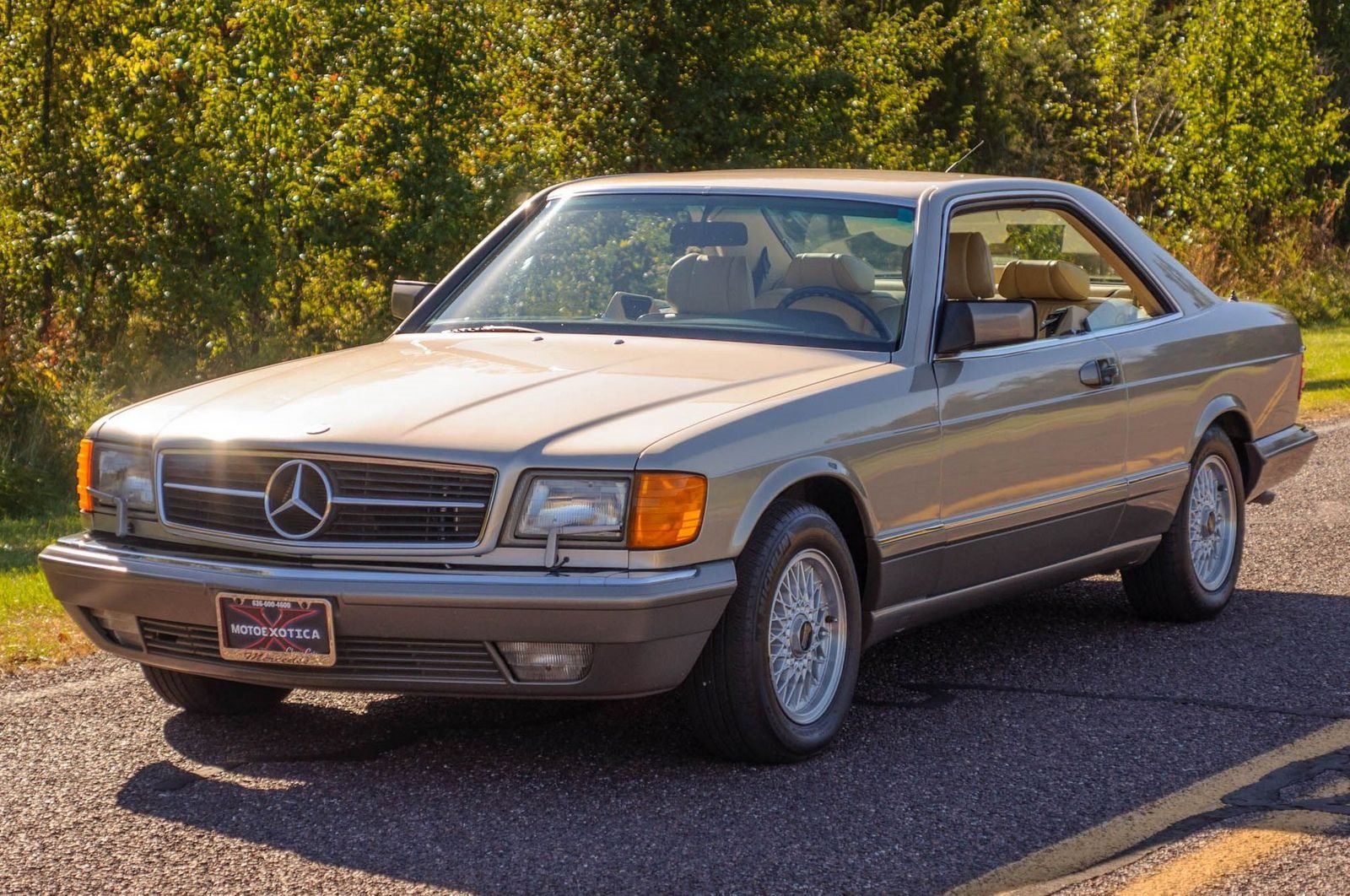 1991 - MERCEDES-BENZ 560 SEC BROWN, foto 24