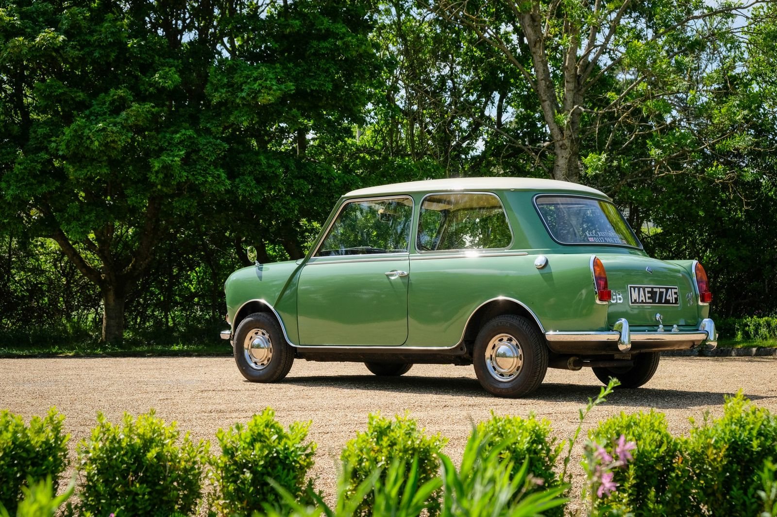 1967 - RILEY ELF MK III, foto 16