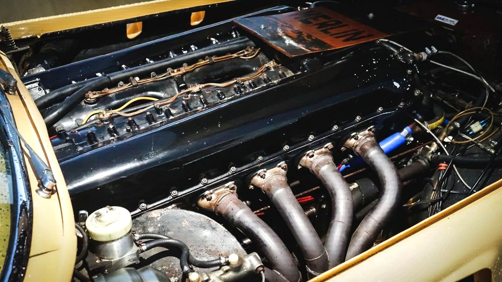 1972 - JOHN DODD’S THE BEAST, foto 29