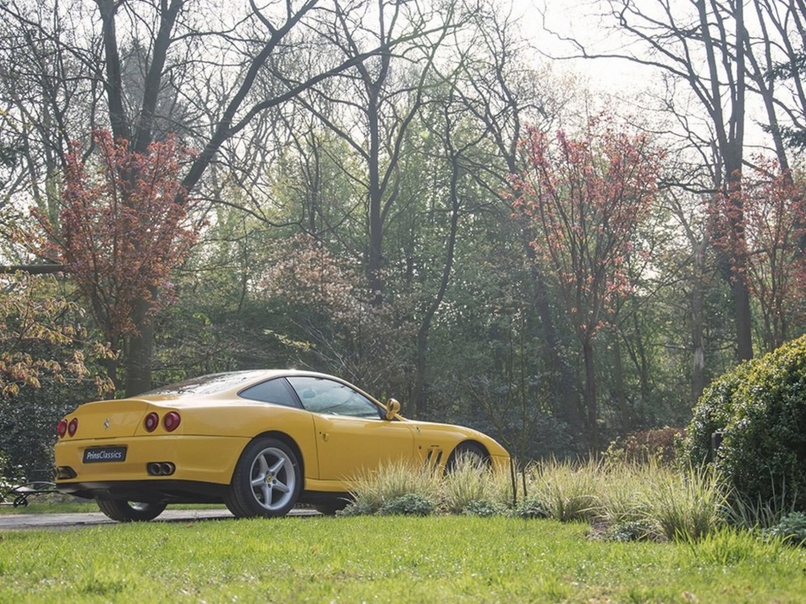 1998 - FERRARI F550 MARANELLO GIALLO MODENA, foto 8