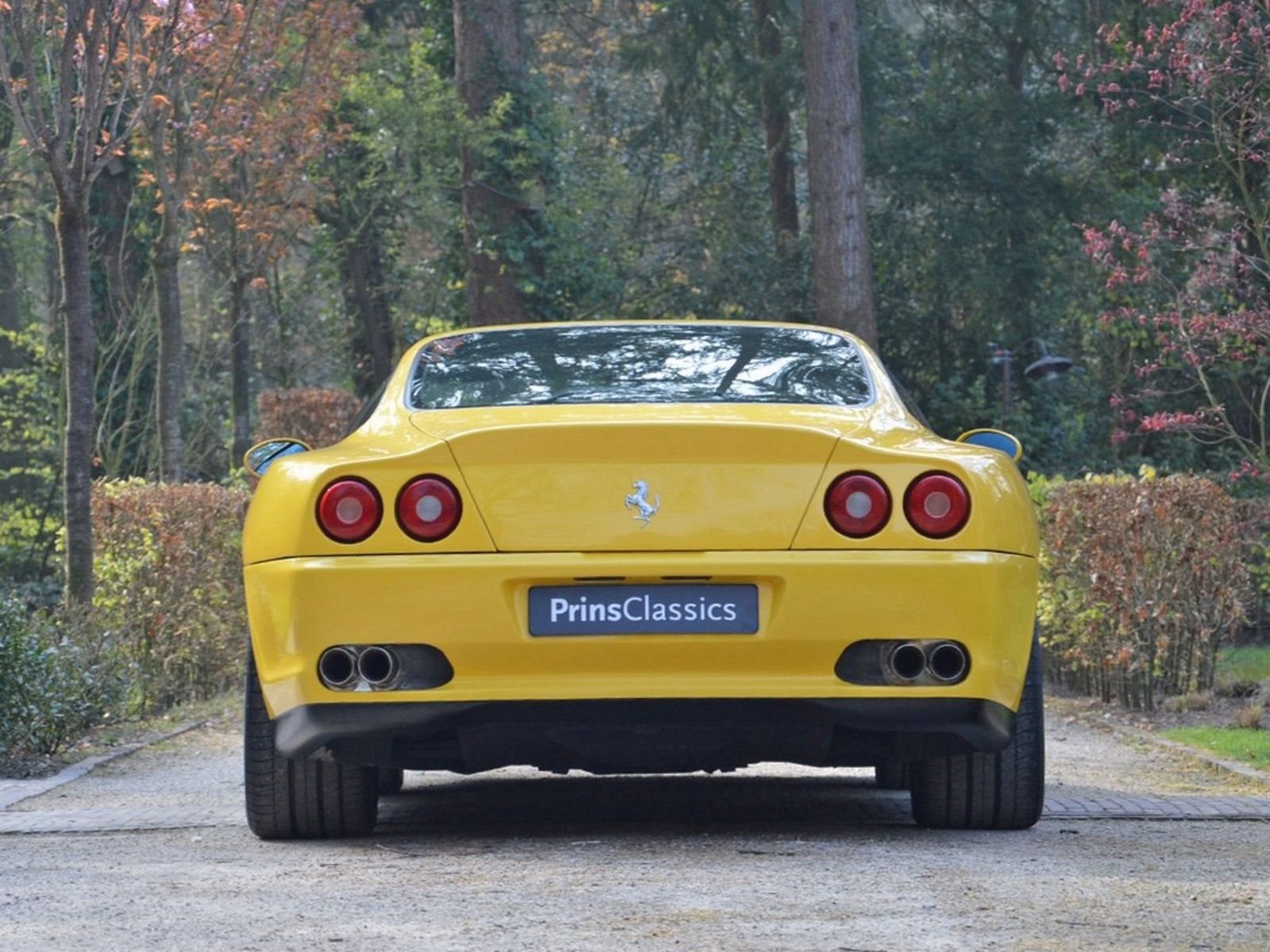 1998 - FERRARI F550 MARANELLO GIALLO MODENA, foto 11