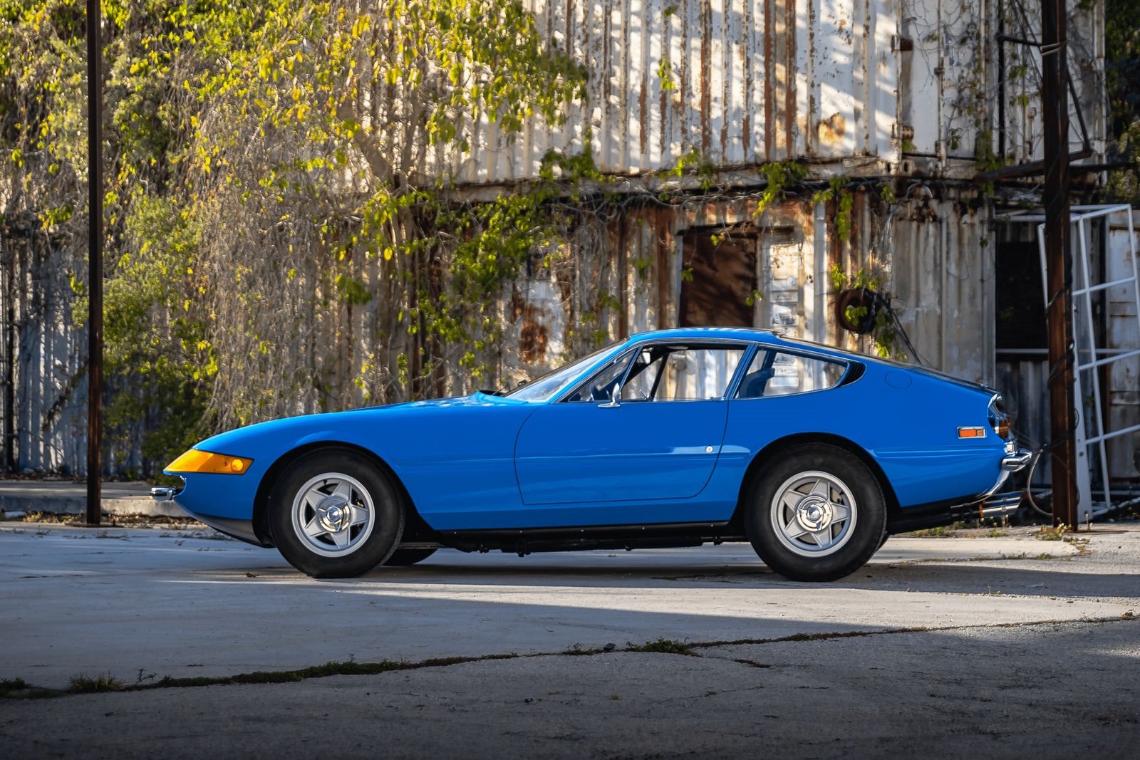 1971 - FERRARI F365 GTB/4 DAYTONA COUPE AZZURRO DINO, foto 8