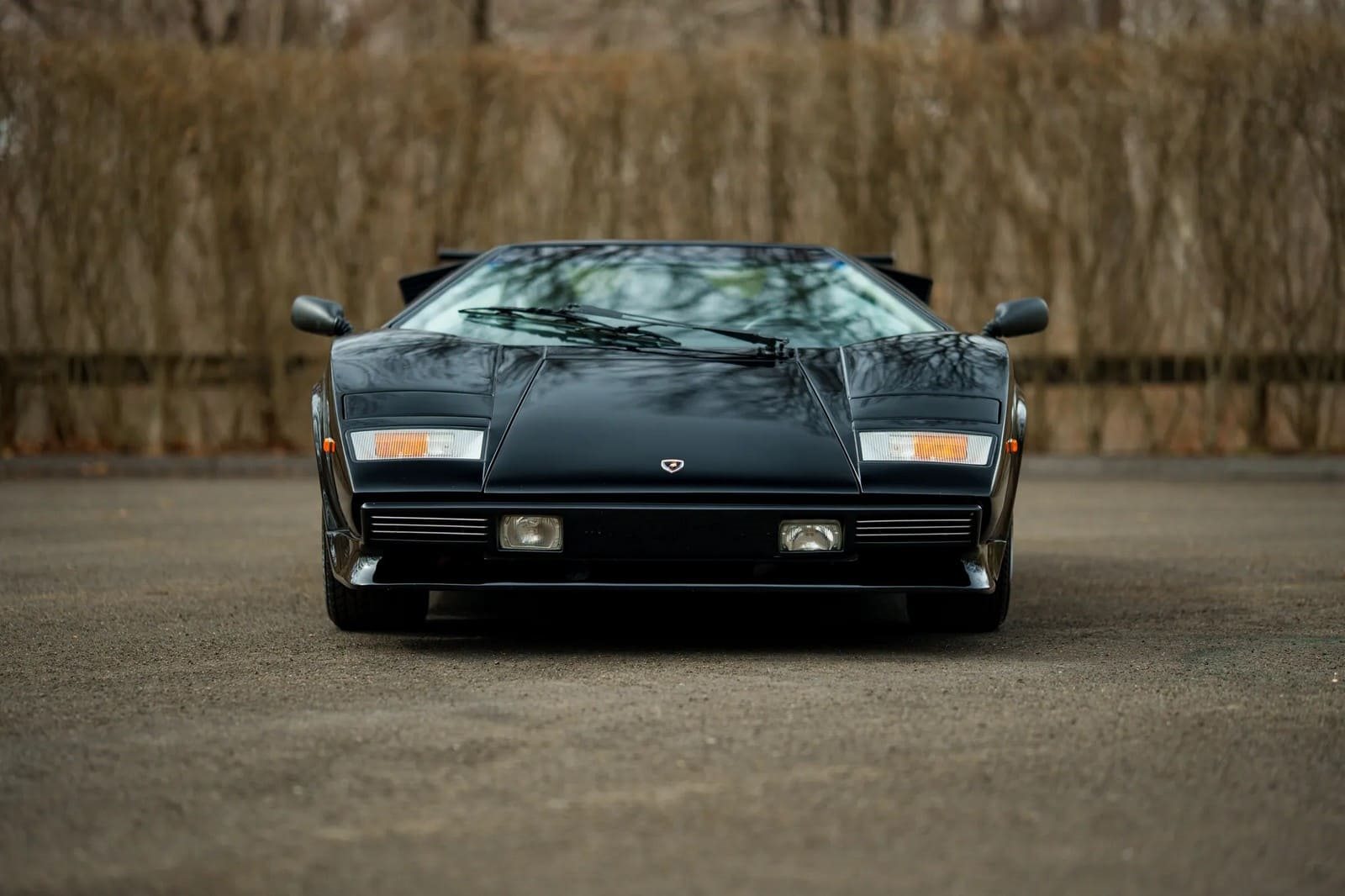 1988 - LAMBORGHINI COUNTACH 5000QV NERO TENEBRE, foto 9
