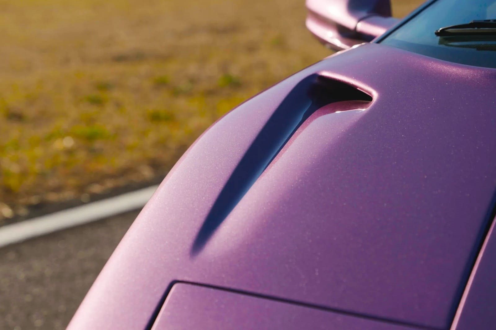 1994 - LAMBORGHINI DIABLO SE30 PURPLE, foto 33