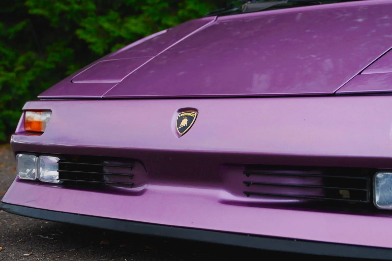 1994 - LAMBORGHINI DIABLO SE30 PURPLE, foto 39