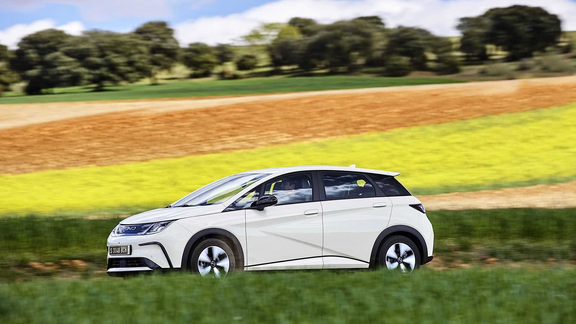 BYD DOLPHIN, foto 79