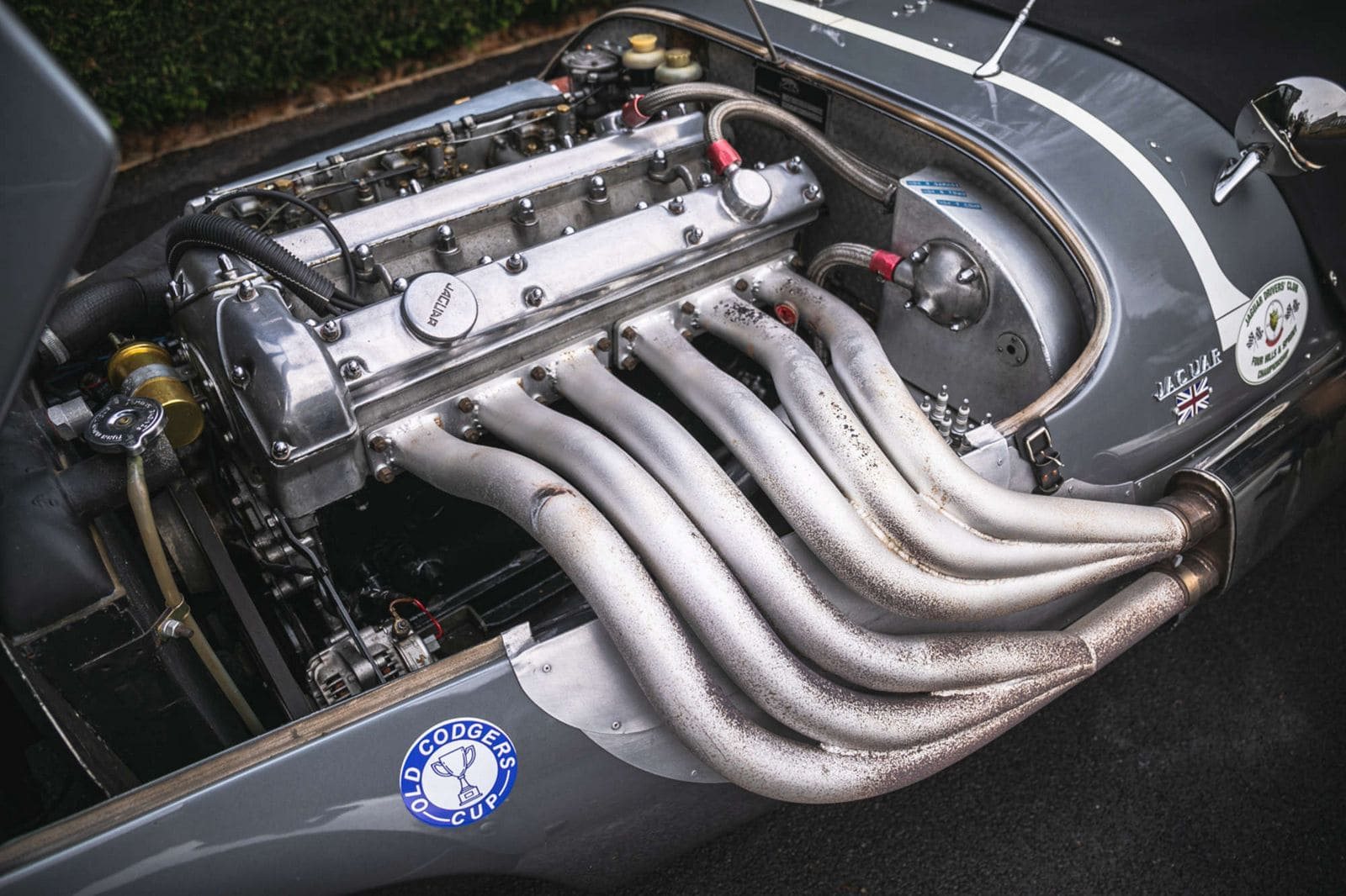 1982 - KOUGAR SPORTS JAGUAR, foto 26