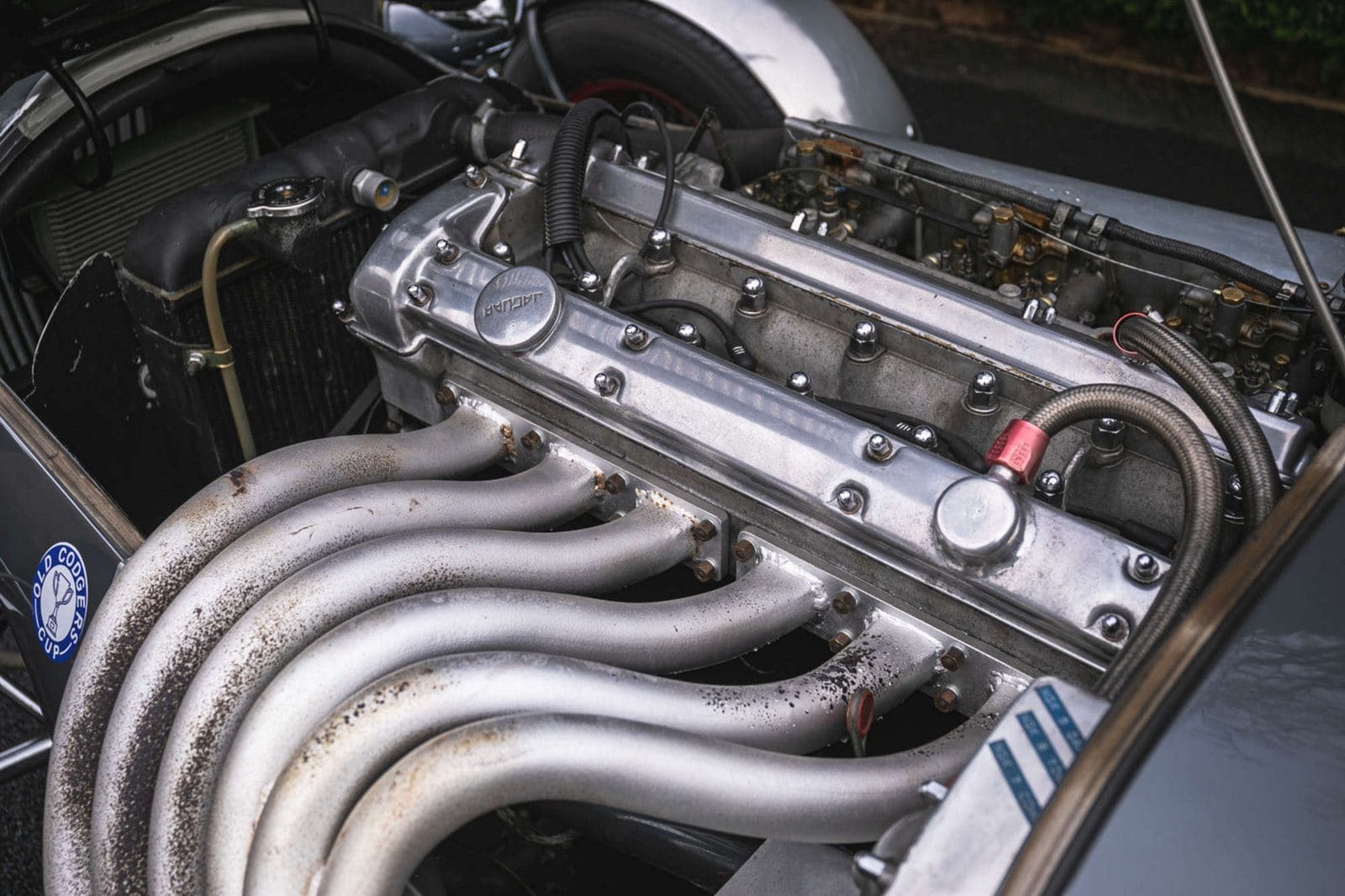 1982 - KOUGAR SPORTS JAGUAR, foto 30