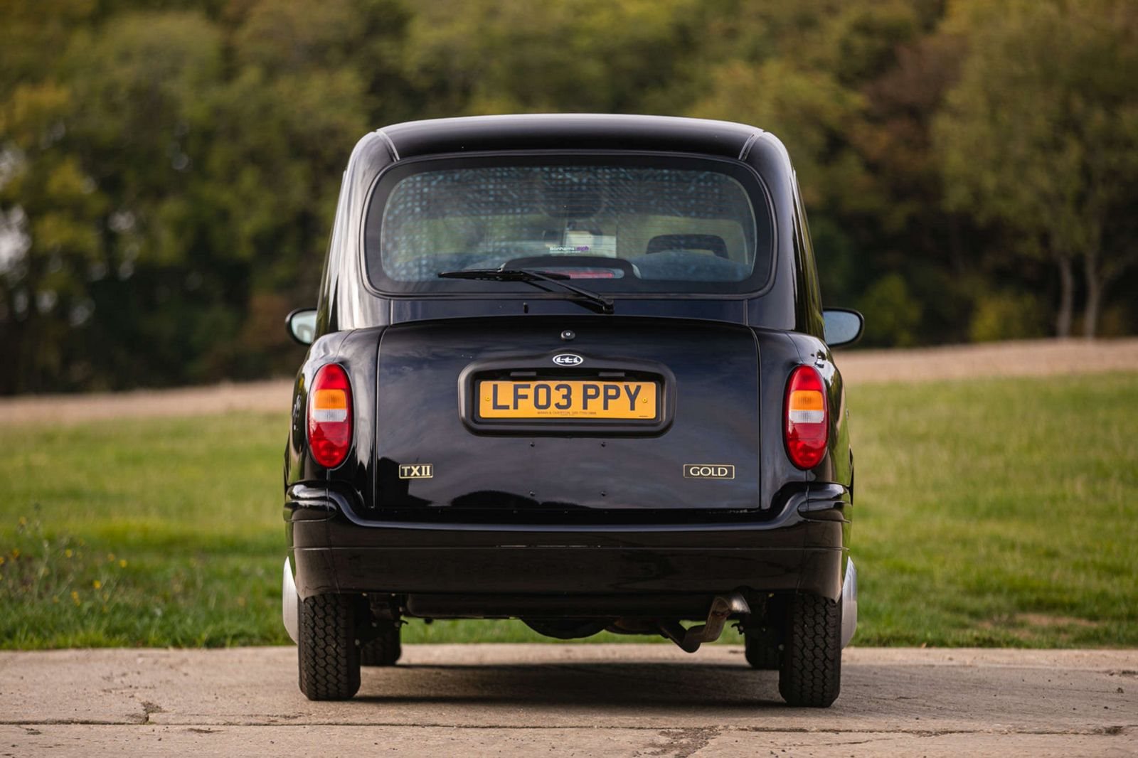 LONDON TAXIS INTERNATIONAL TX2, foto 5