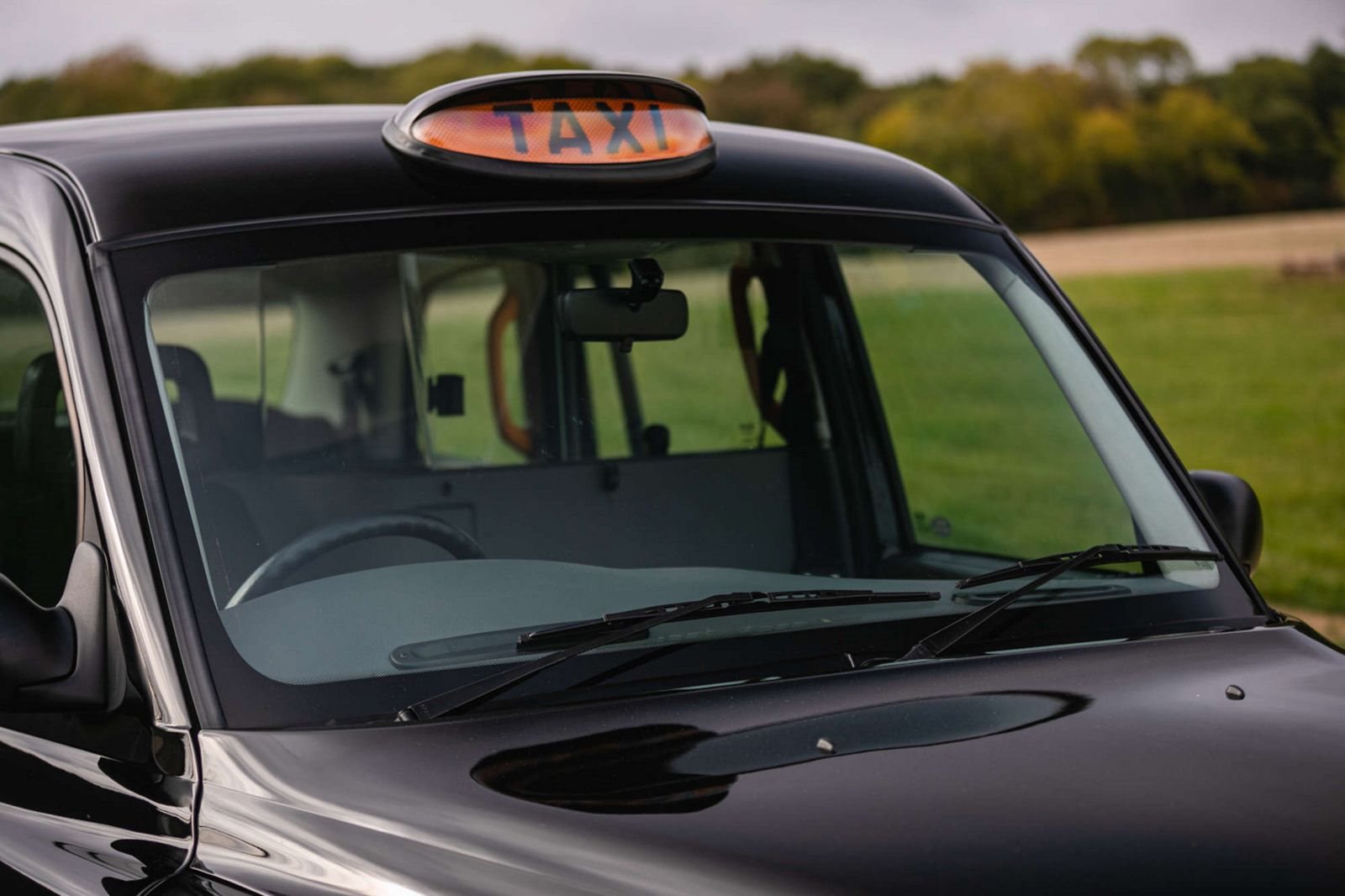 LONDON TAXIS INTERNATIONAL TX2, foto 13