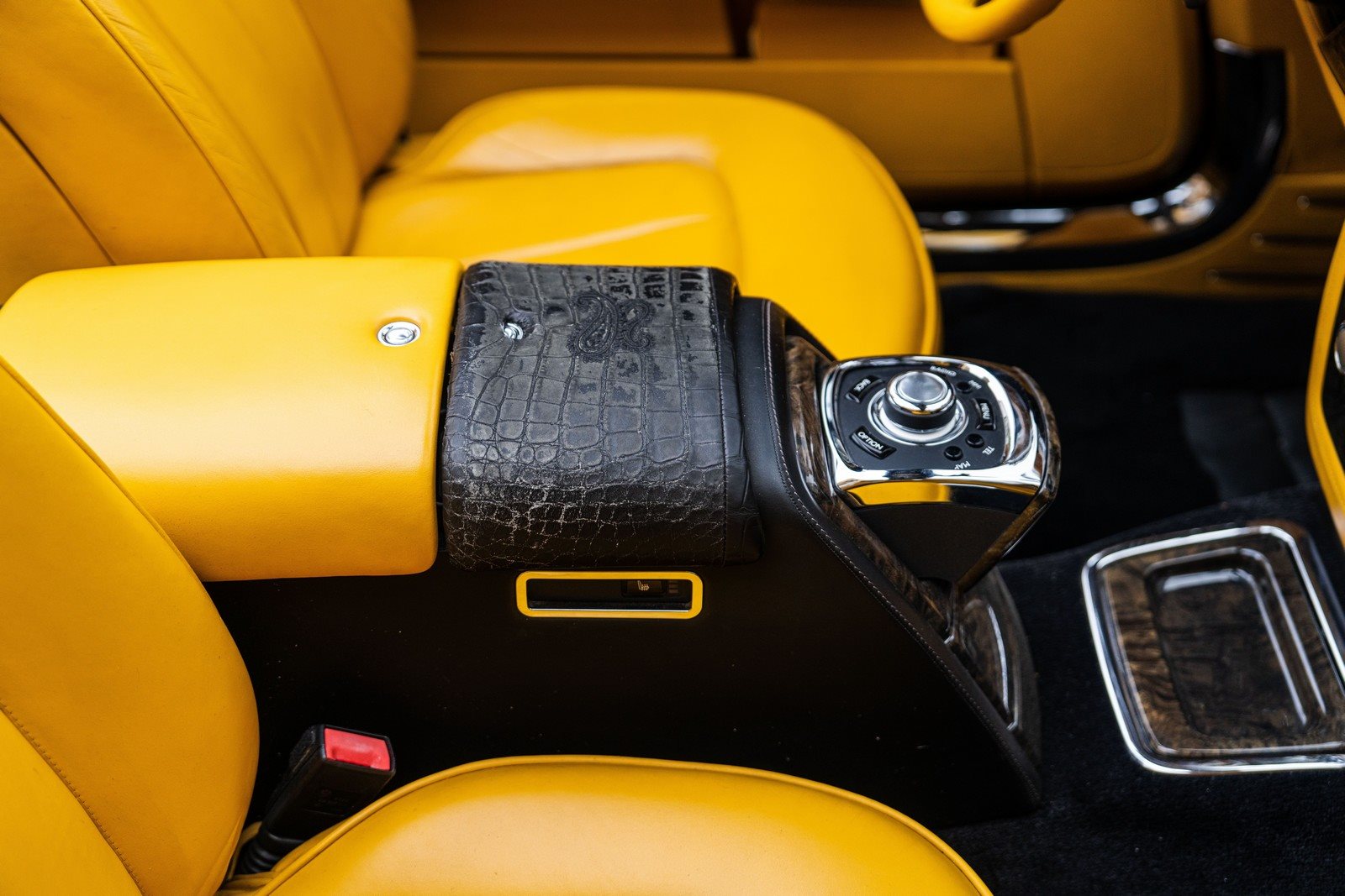 ROLLS-ROYCE PHANTOM DROPHEAD COUPE BIJAN LIMITED EDITION, foto 28