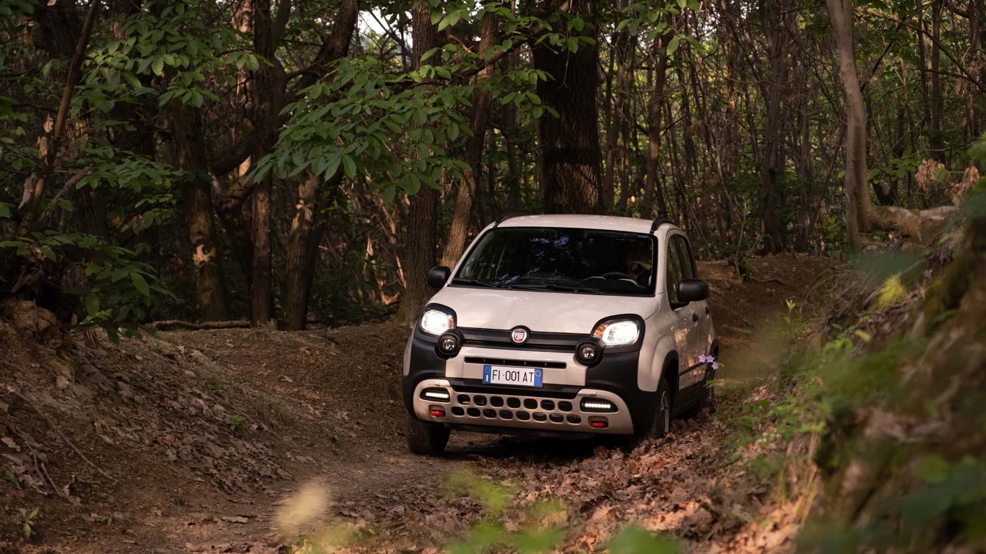 2023 - FIAT PANDA 4X40º, foto 8