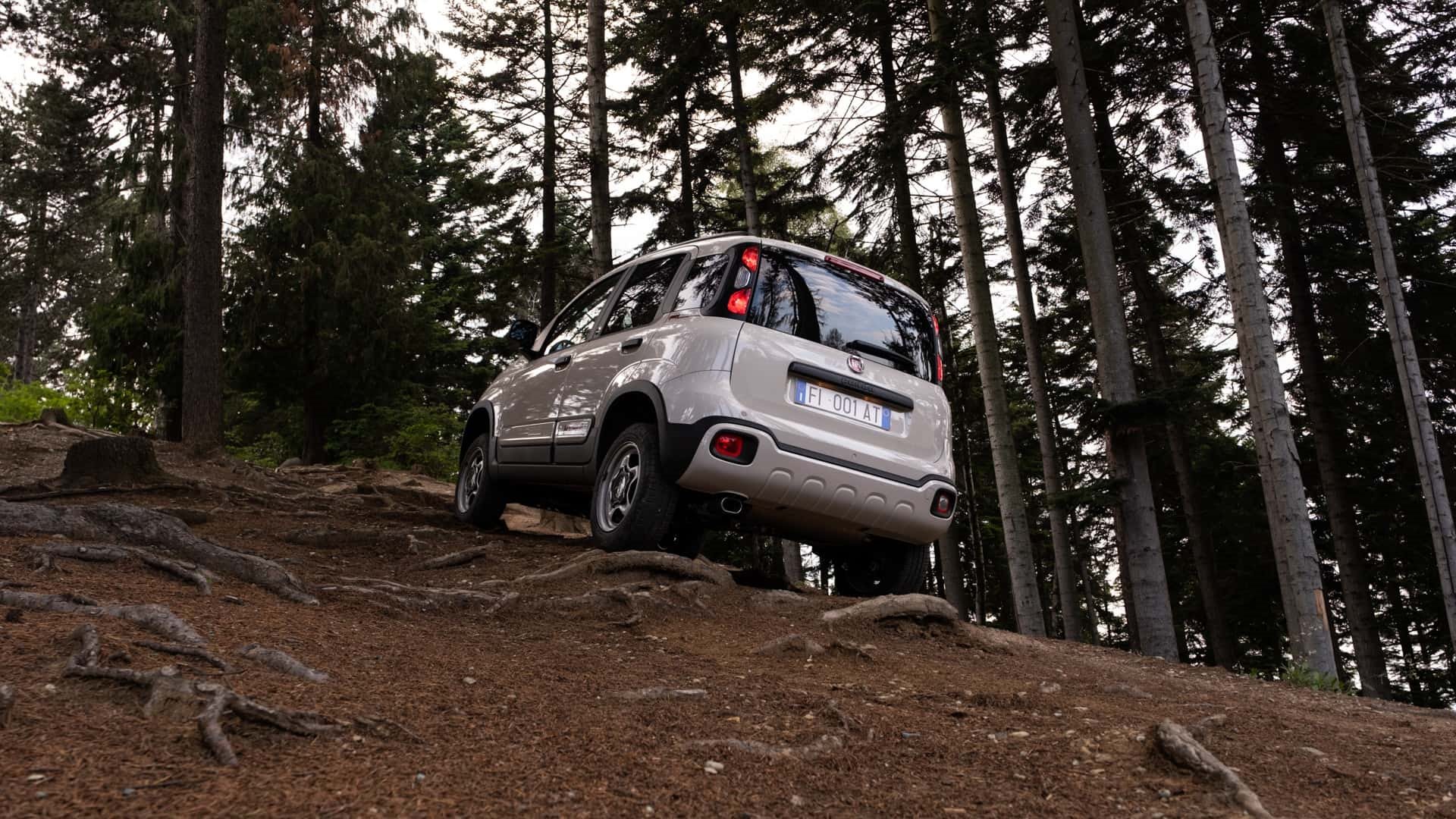 2023 - FIAT PANDA 4X40º, foto 12