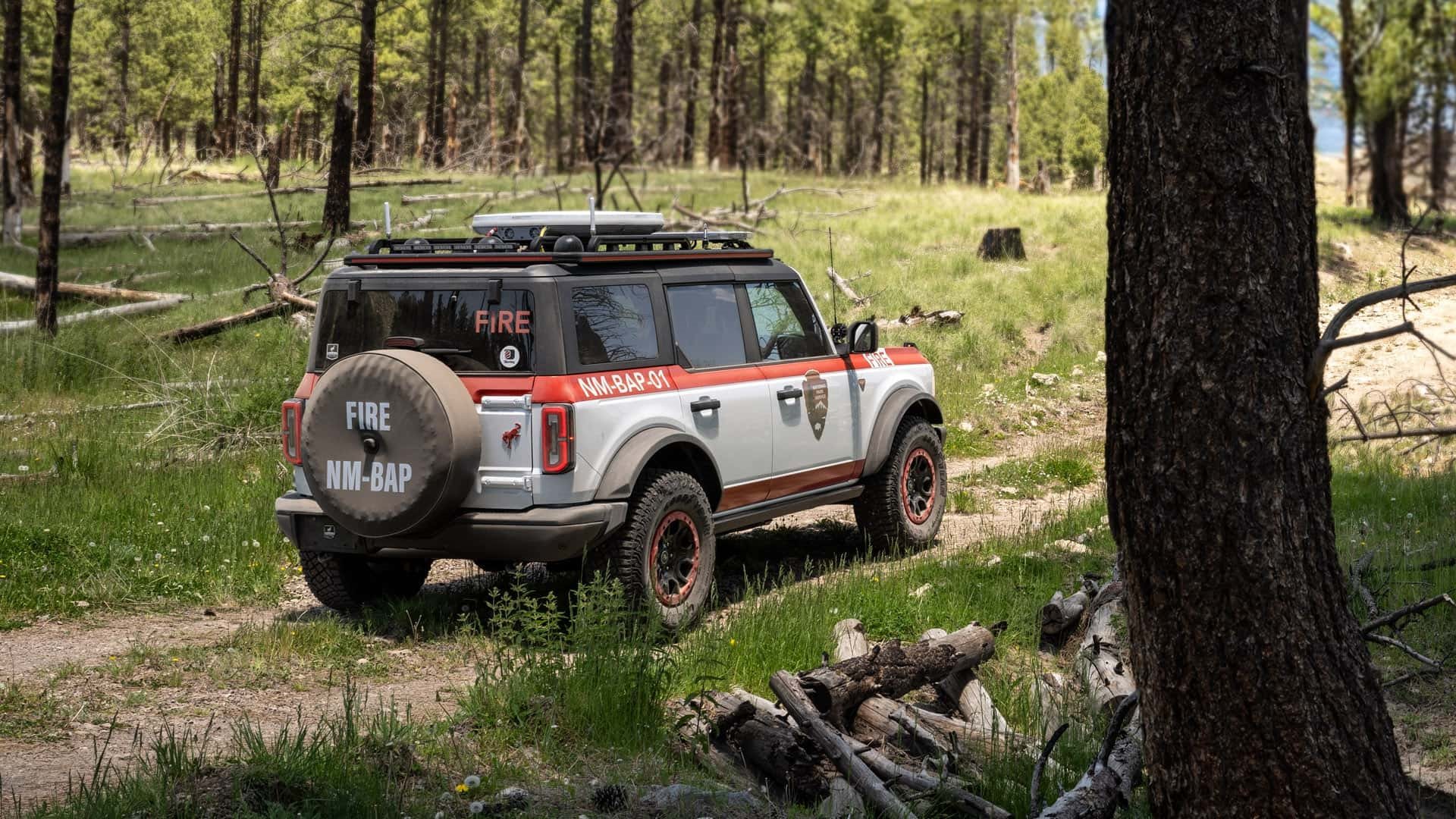 2023 - FORD BRONCO WILDLAND, foto 5