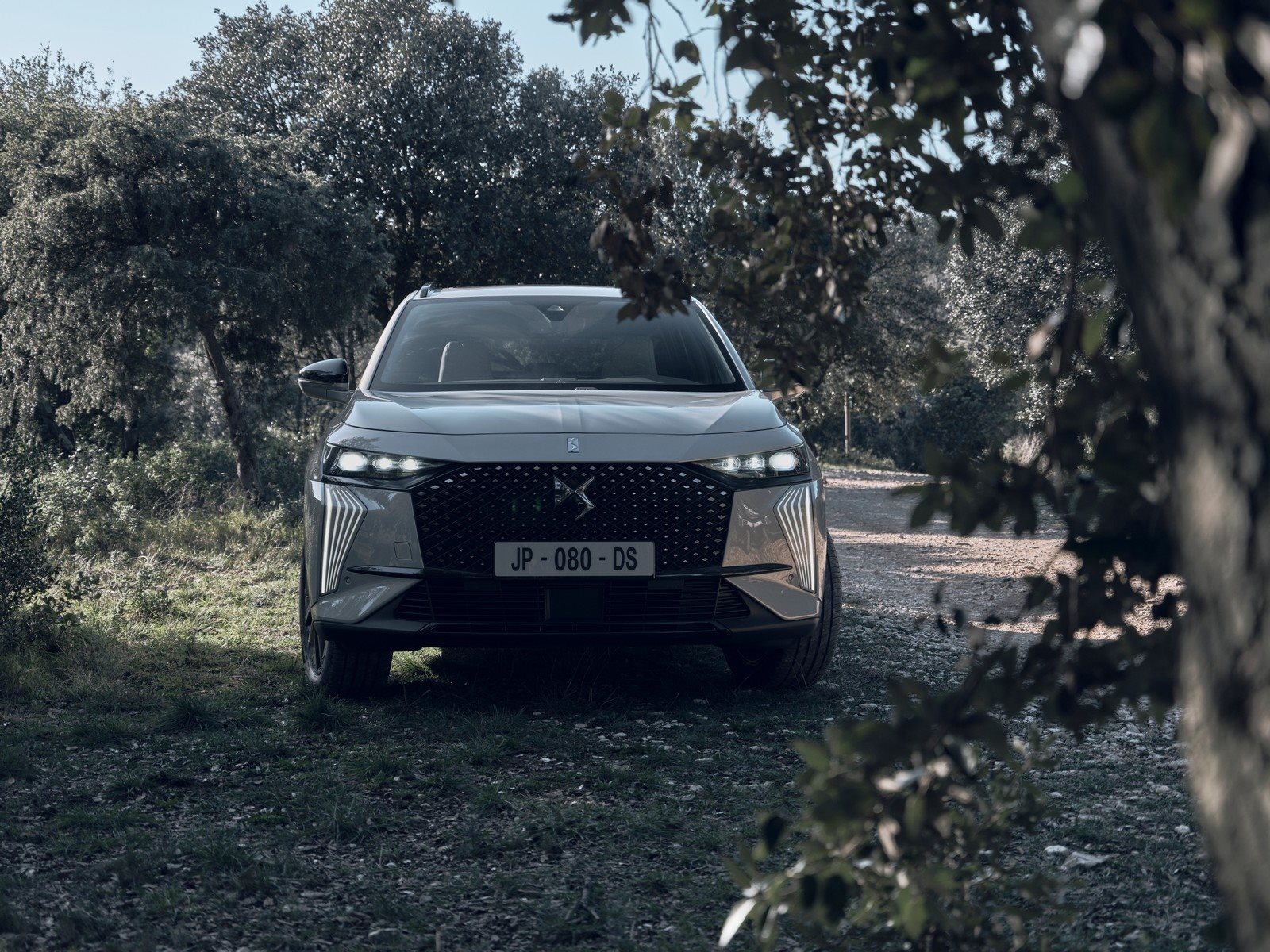 DS 7 ESPRIT DE VOYAGE, foto 6