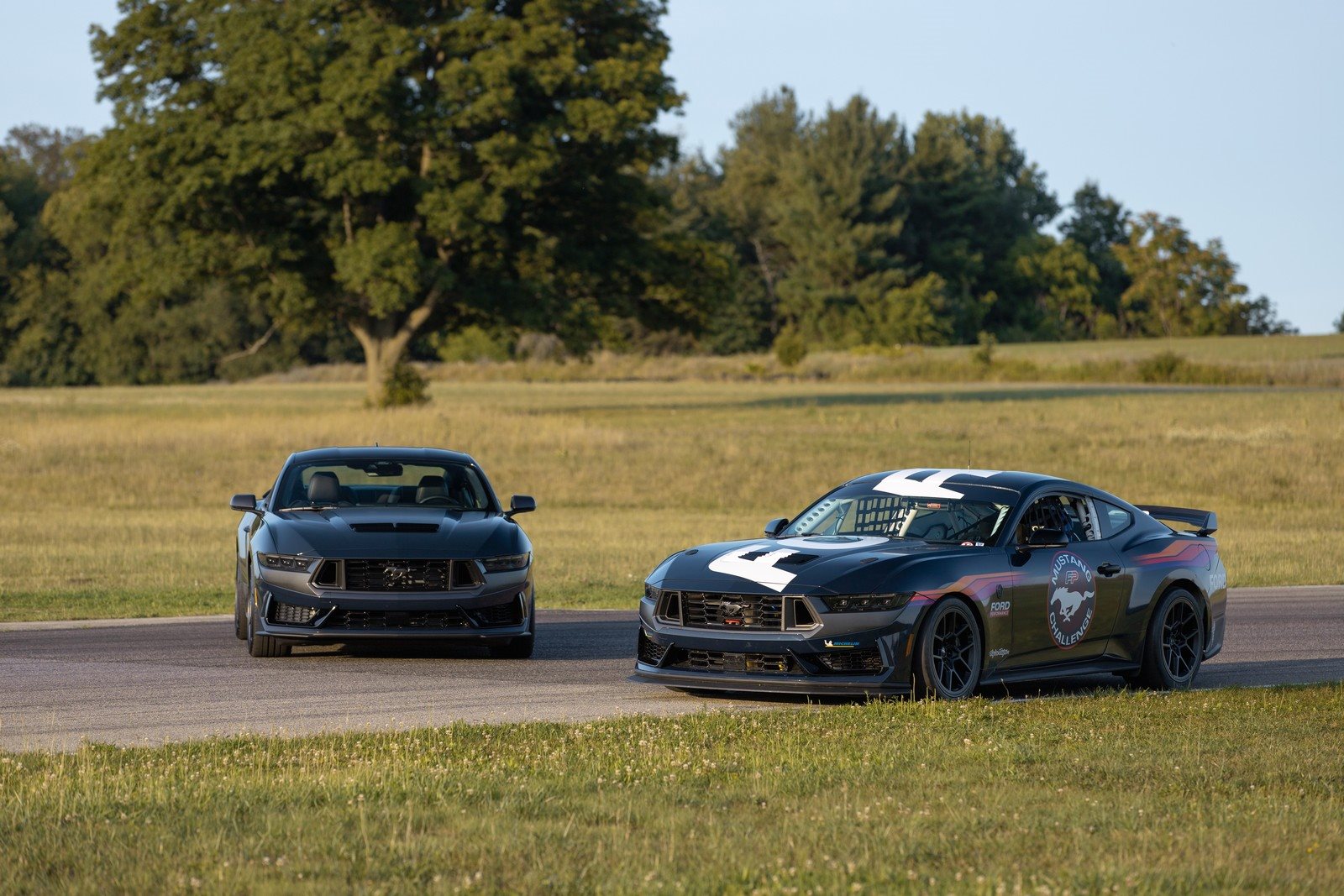 2024 - FORD MUSTANG DARK HORSE R, foto 24